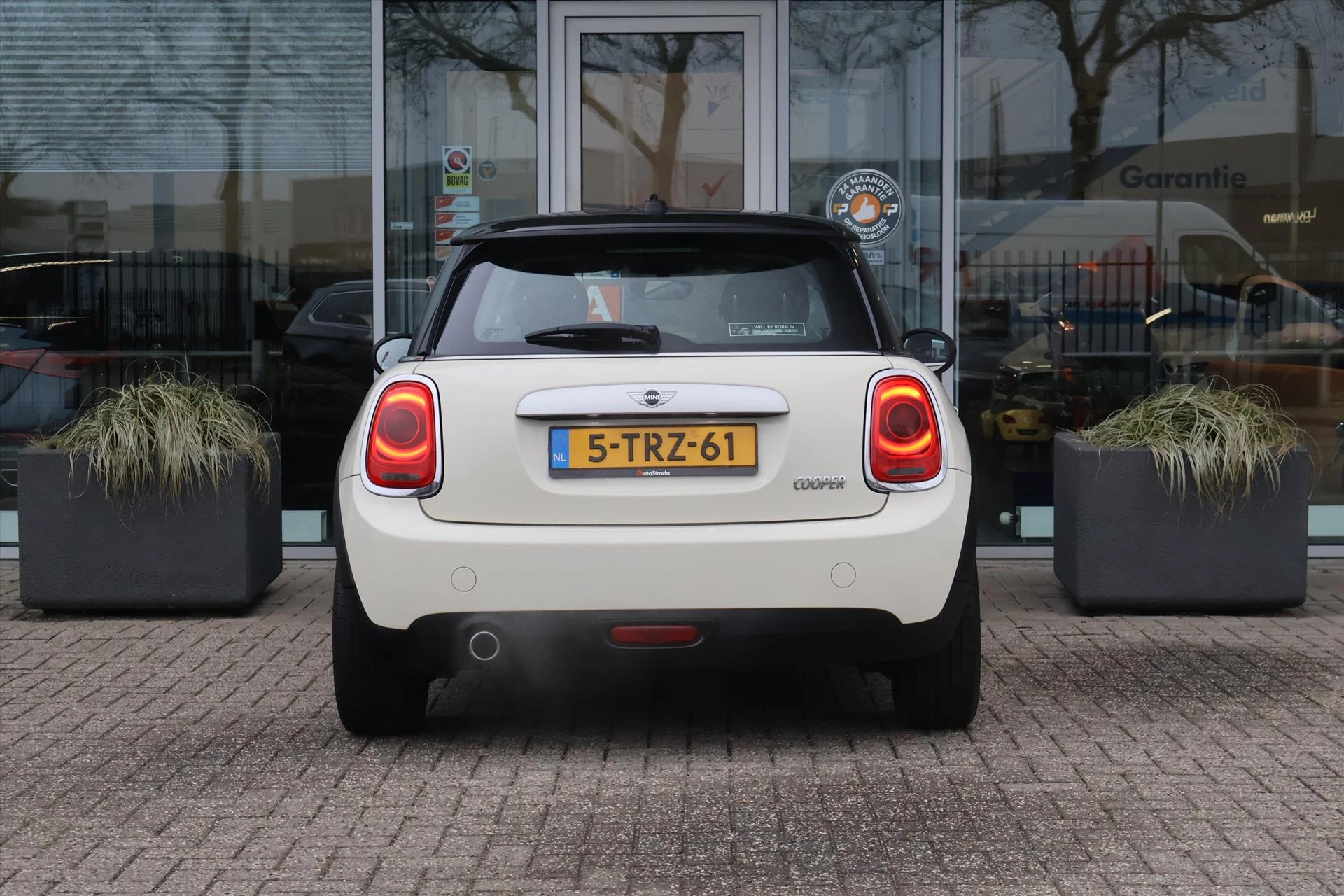 Hoofdafbeelding MINI Cooper