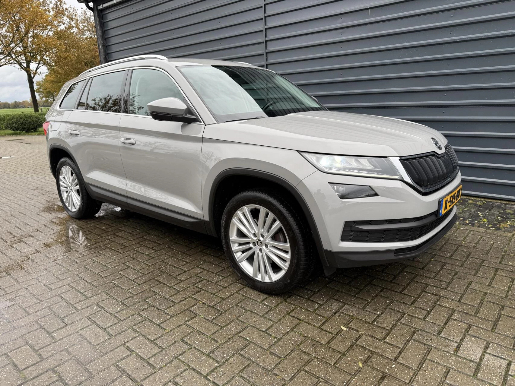 Hoofdafbeelding Škoda Kodiaq