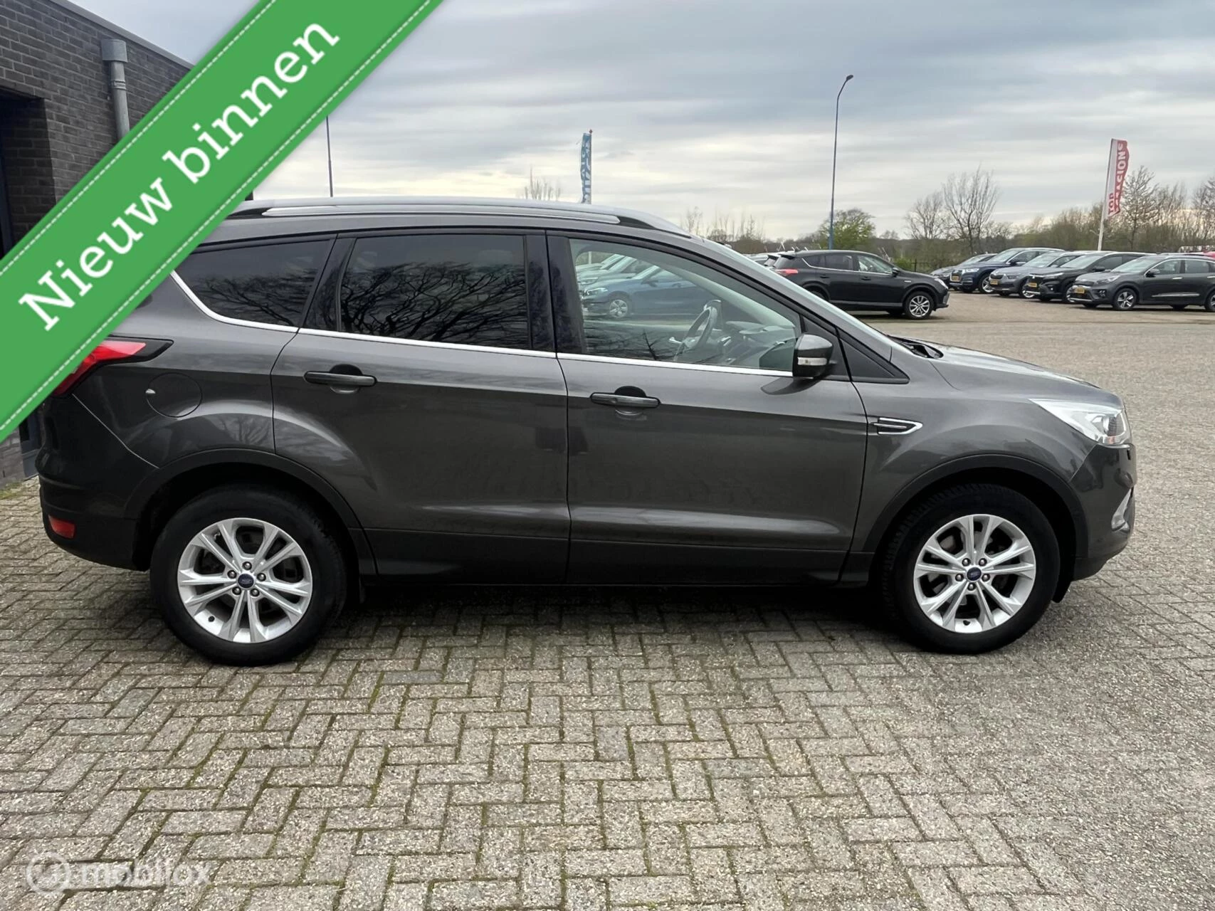 Hoofdafbeelding Ford Kuga