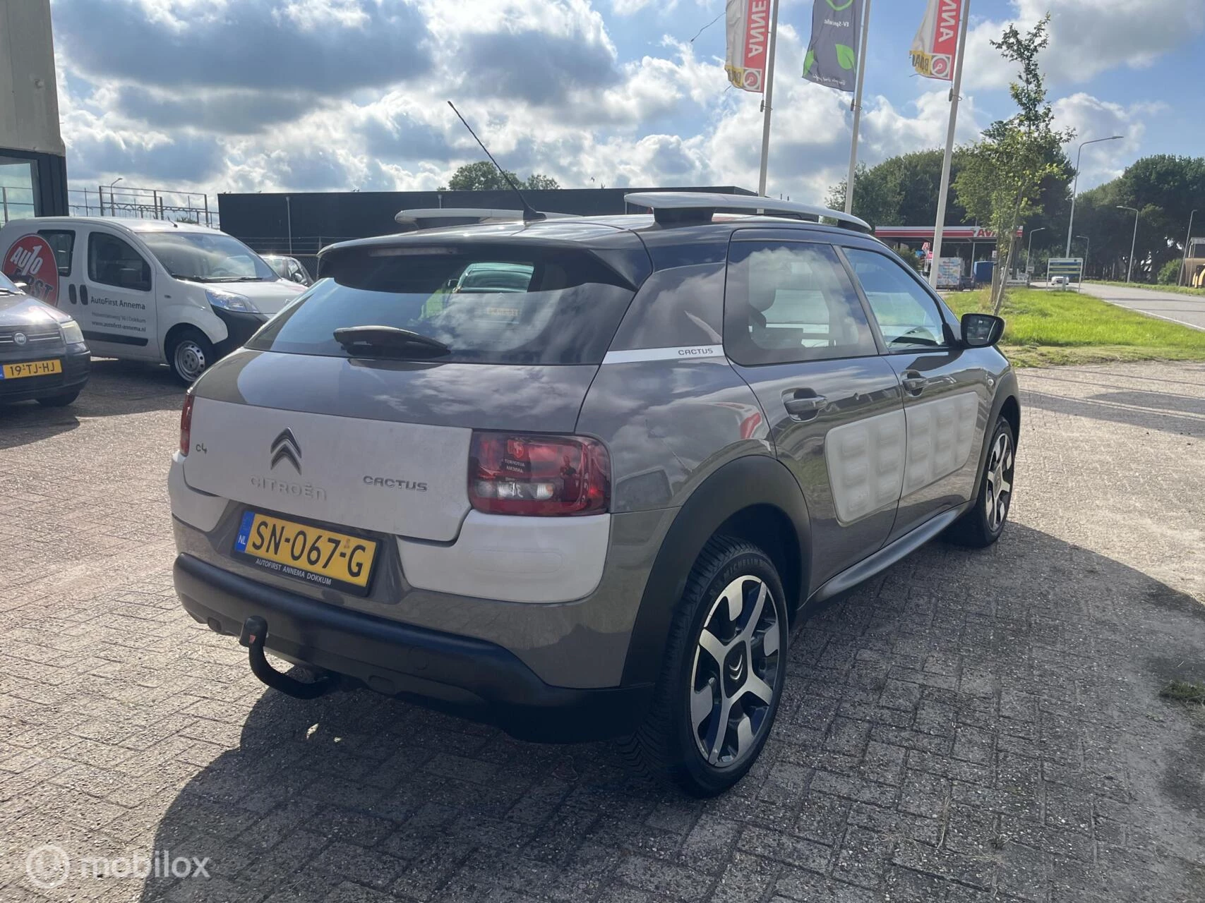 Hoofdafbeelding Citroën C4 Cactus