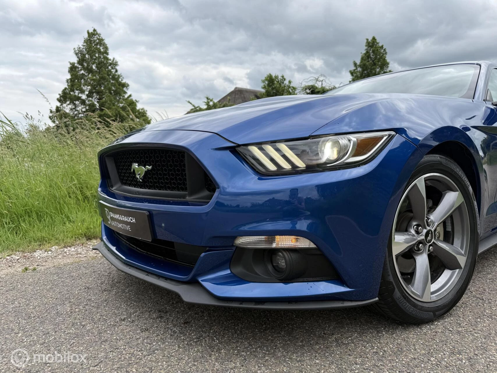 Hoofdafbeelding Ford Mustang