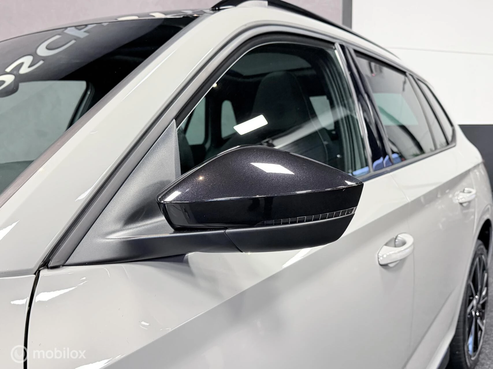 Hoofdafbeelding Škoda Kamiq