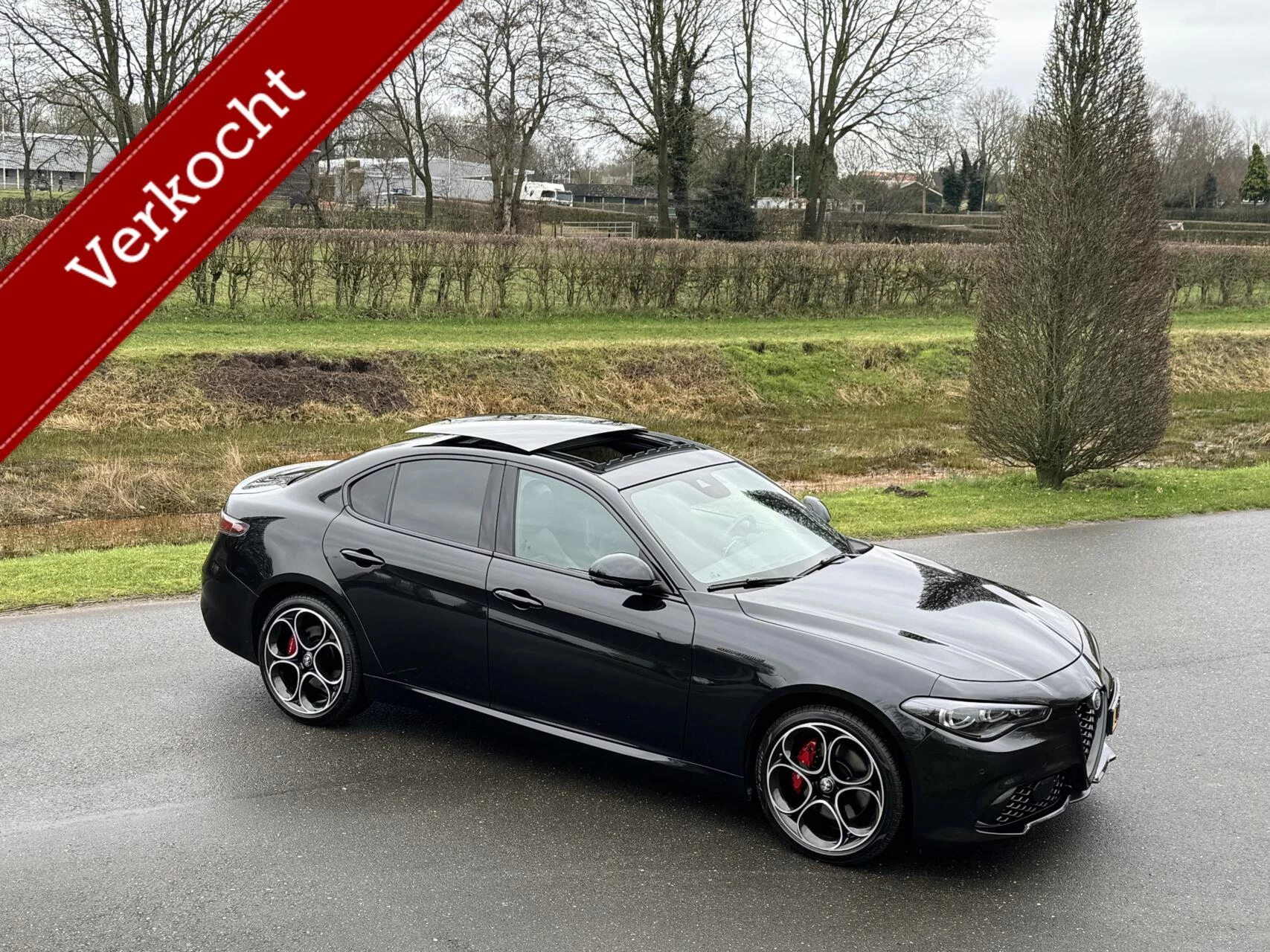 Hoofdafbeelding Alfa Romeo Giulia