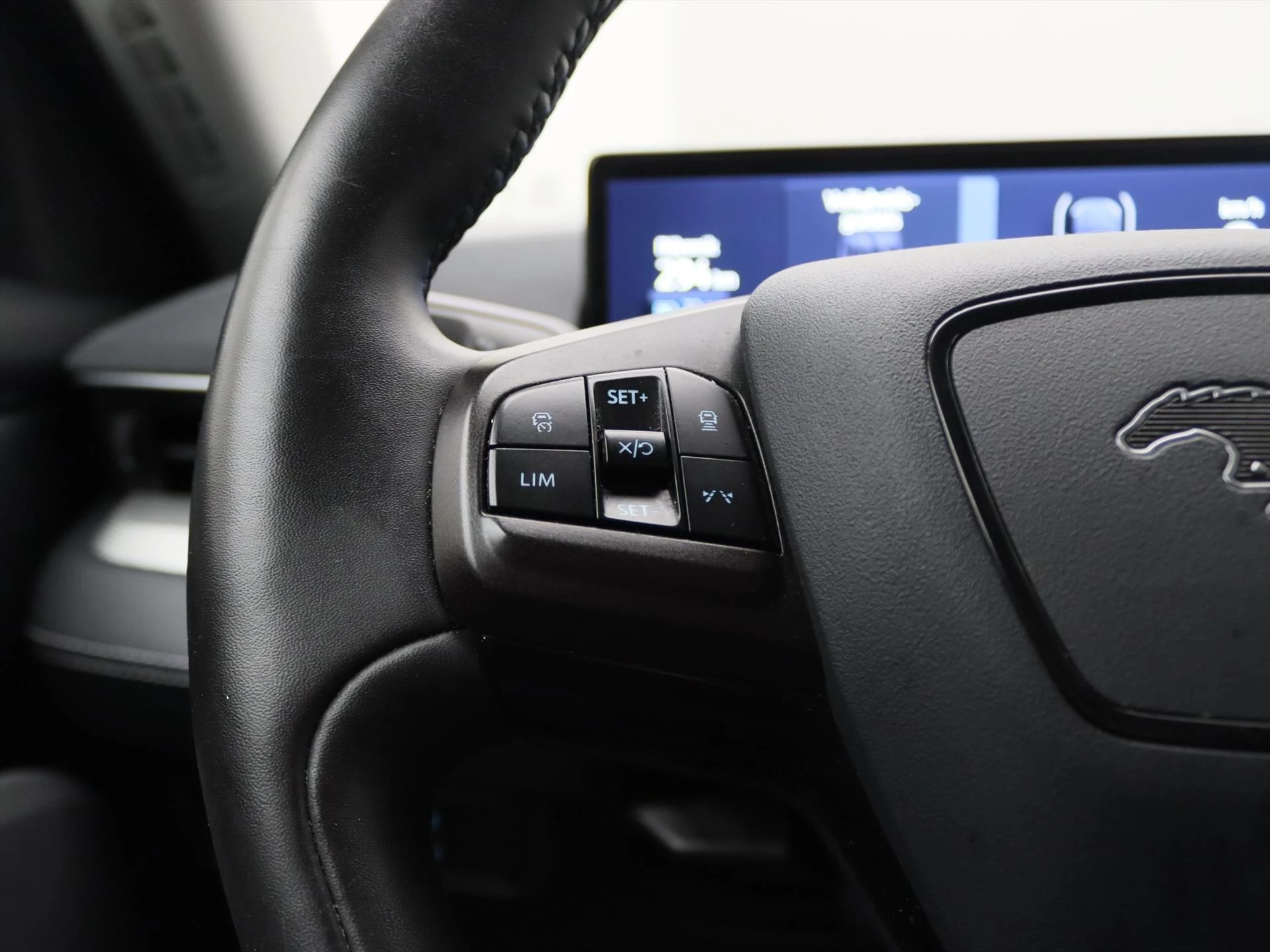 Hoofdafbeelding Ford Mustang Mach-E