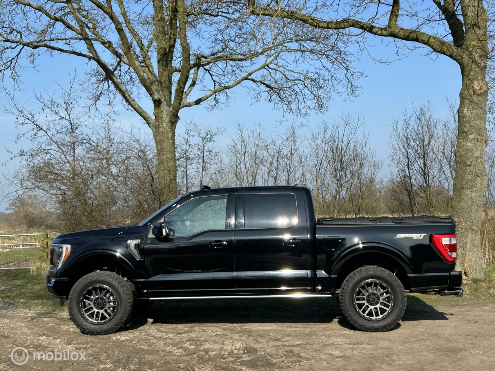 Hoofdafbeelding Ford F-150