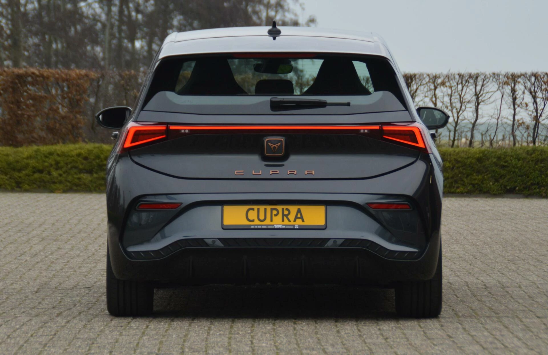 Hoofdafbeelding CUPRA Born