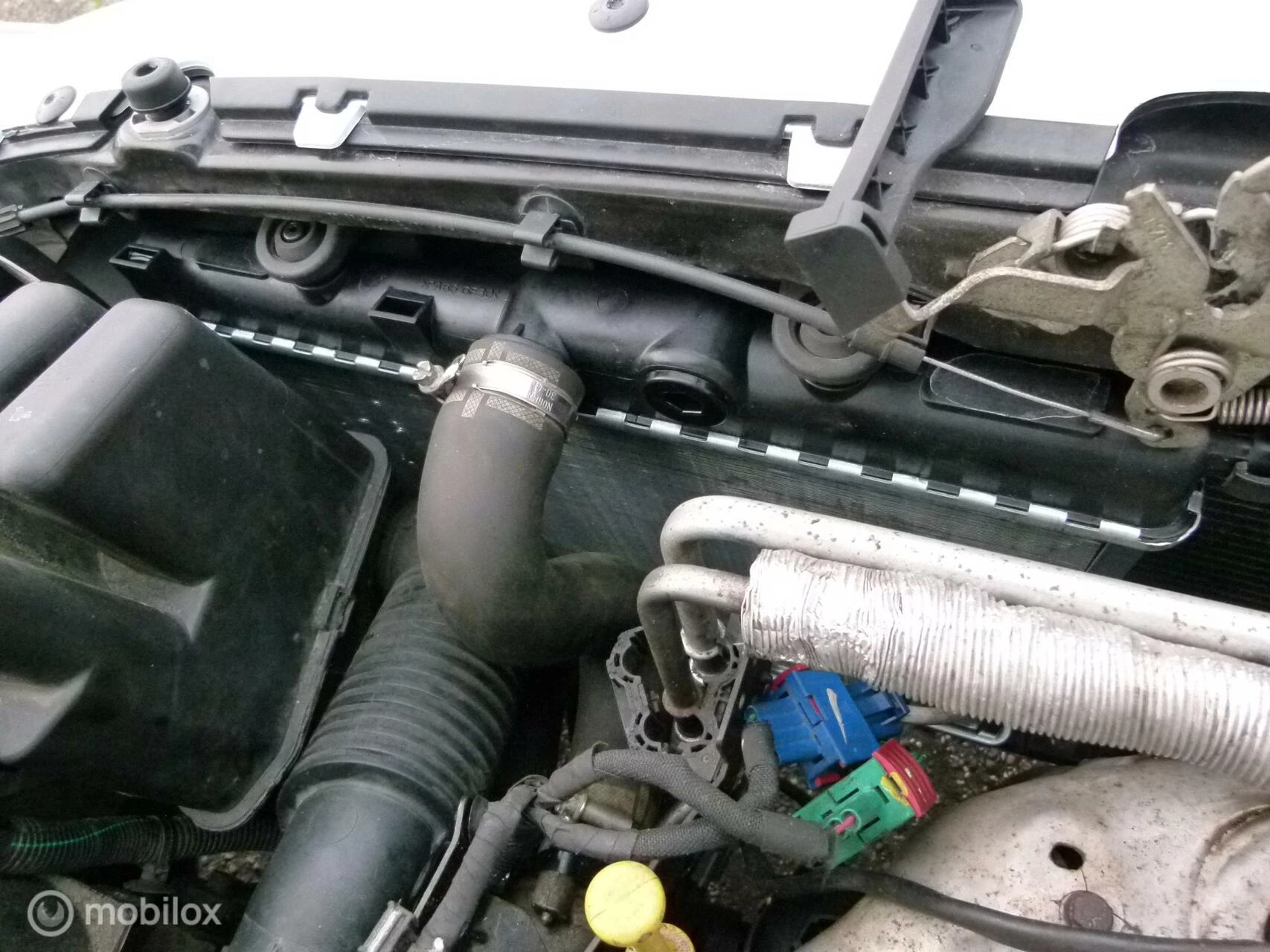 Hoofdafbeelding Peugeot 206