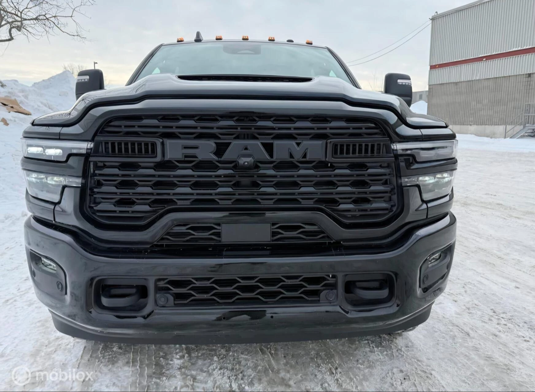 Hoofdafbeelding Dodge Ram Pick-Up