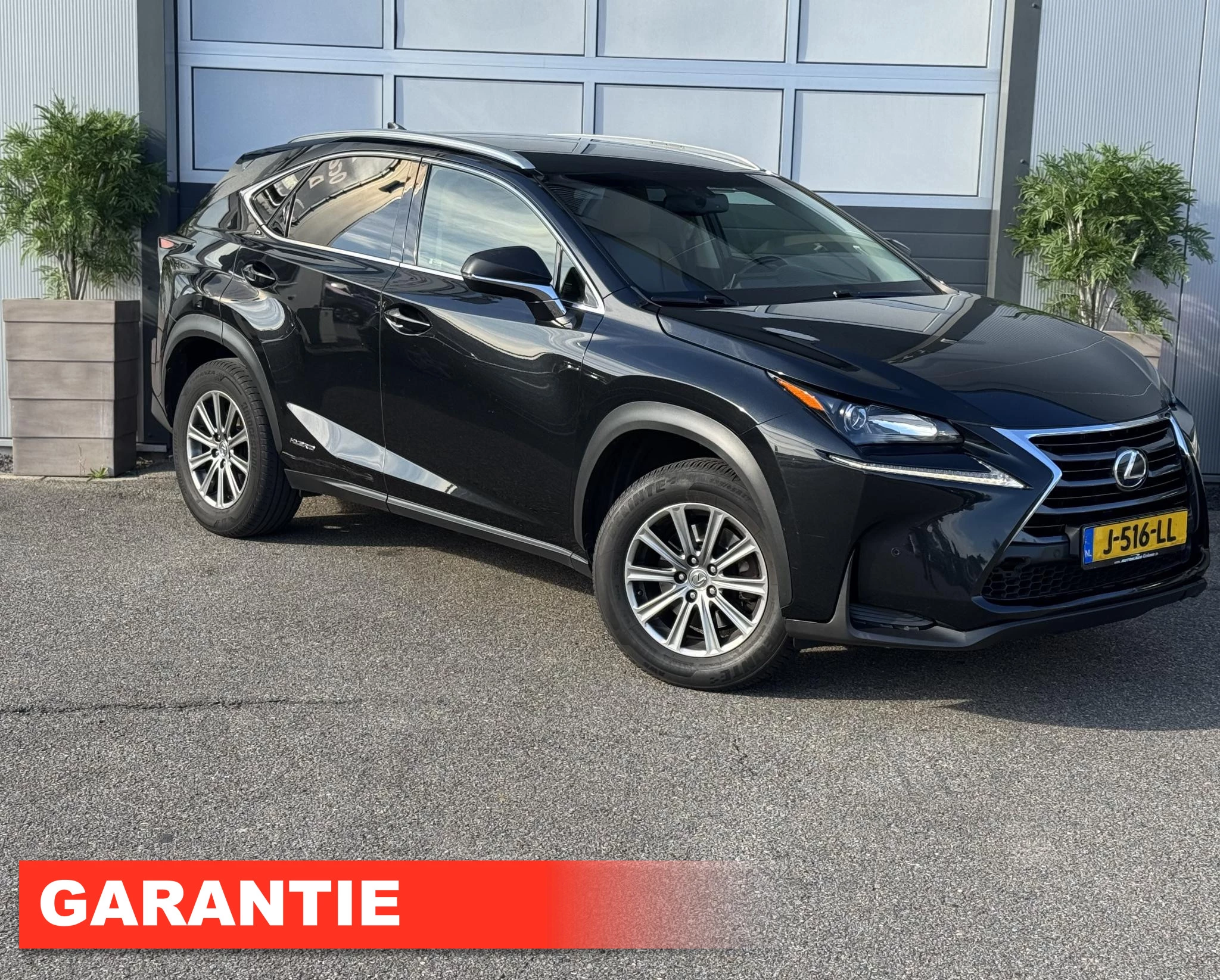 Hoofdafbeelding Lexus NX