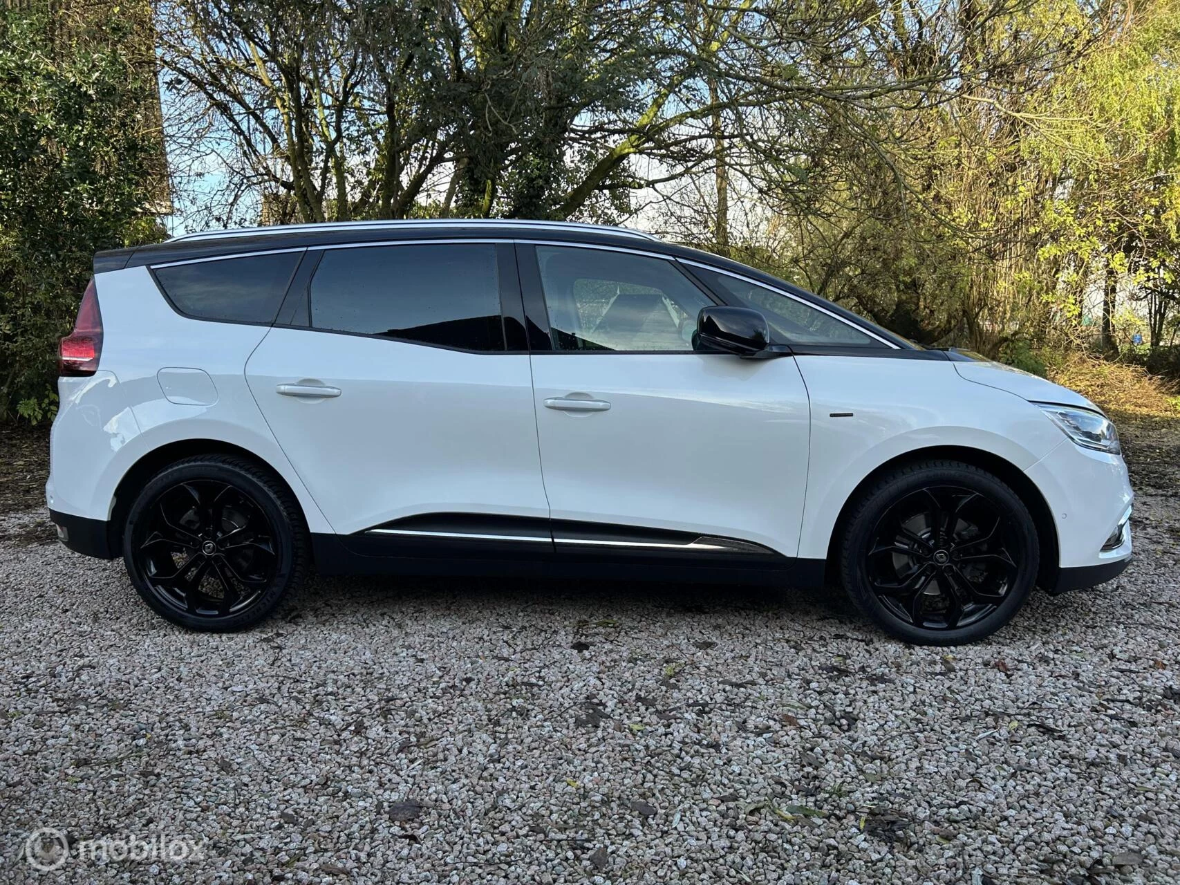 Hoofdafbeelding Renault Grand Scénic