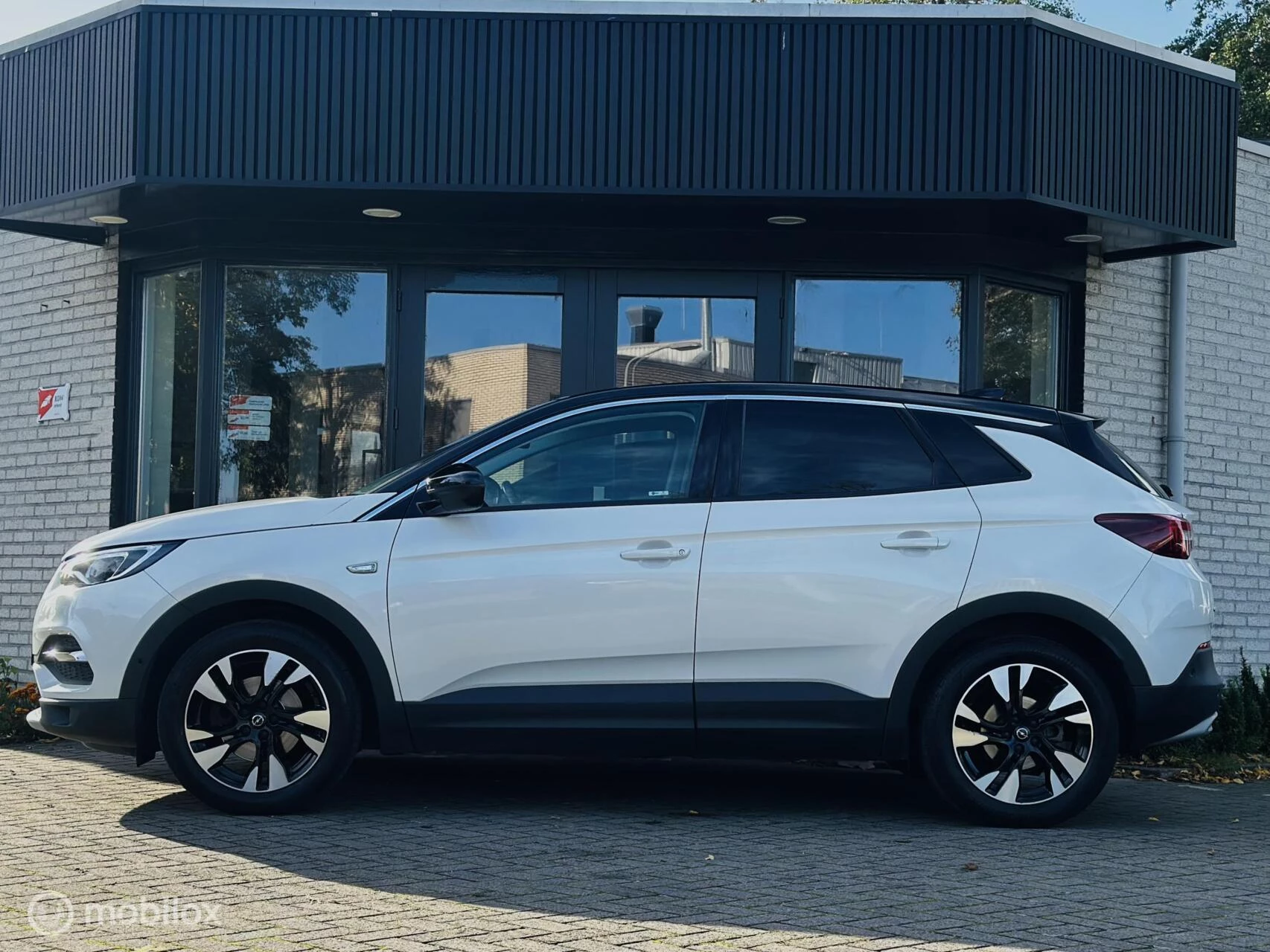 Hoofdafbeelding Opel Grandland X