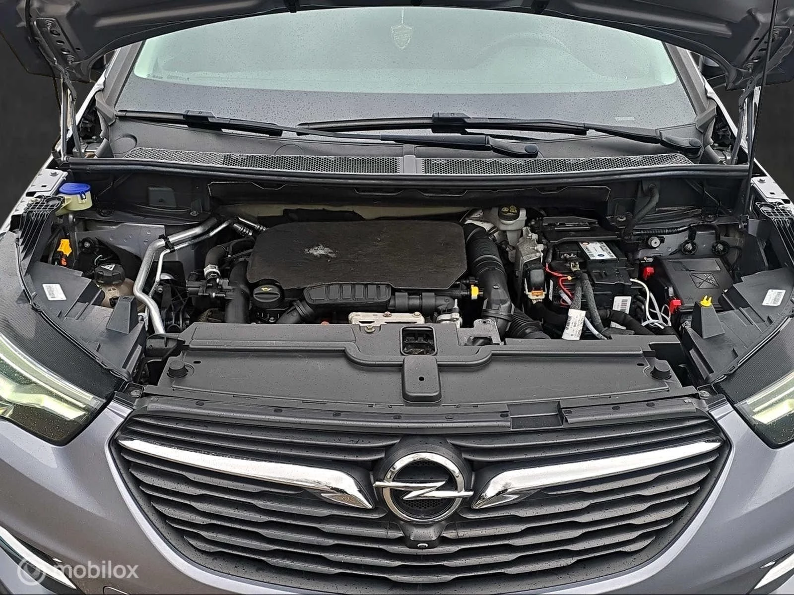 Hoofdafbeelding Opel Grandland X