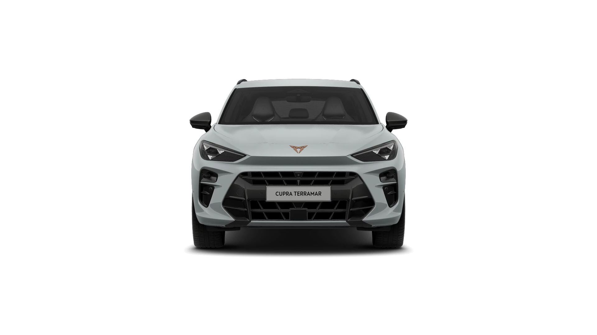 Hoofdafbeelding CUPRA Terramar