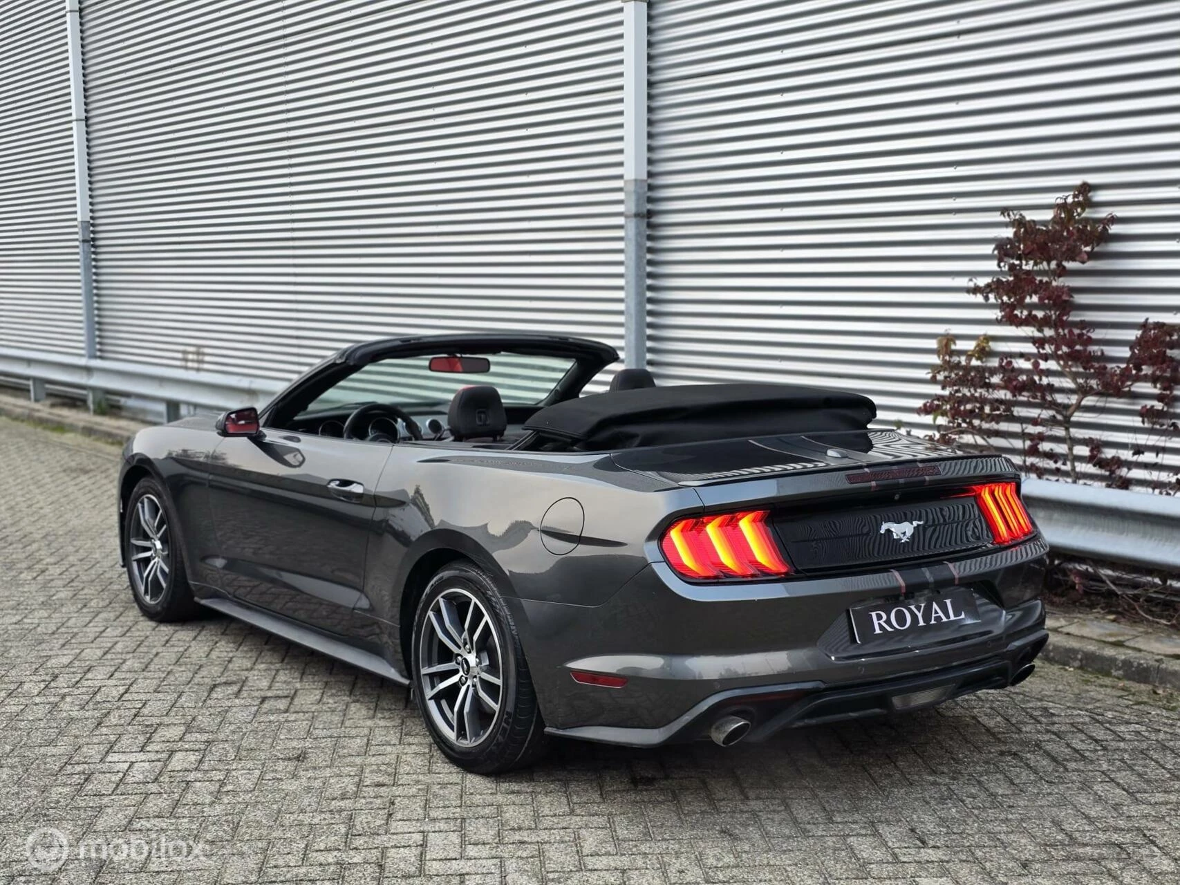 Hoofdafbeelding Ford Mustang