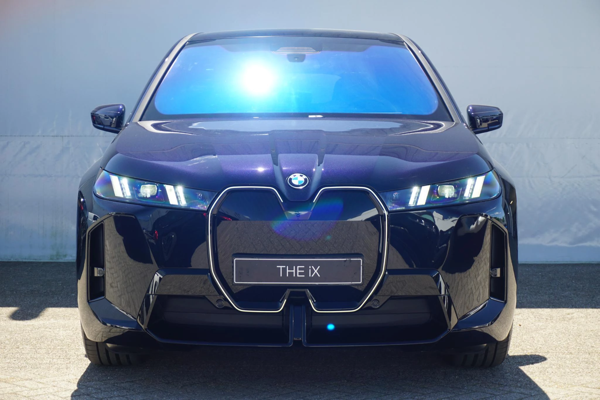 Hoofdafbeelding BMW iX