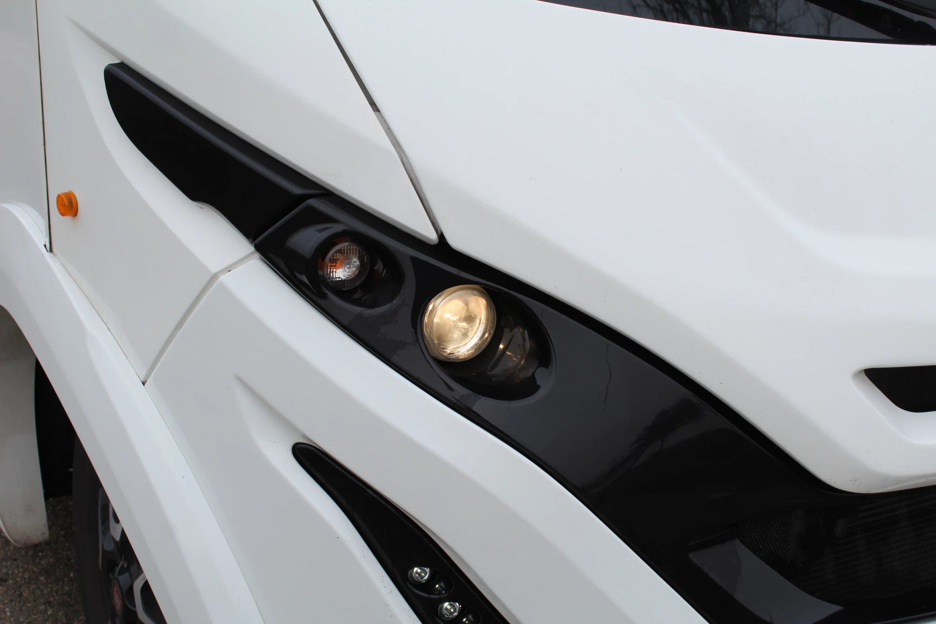 Hoofdafbeelding McLouis YEARLING