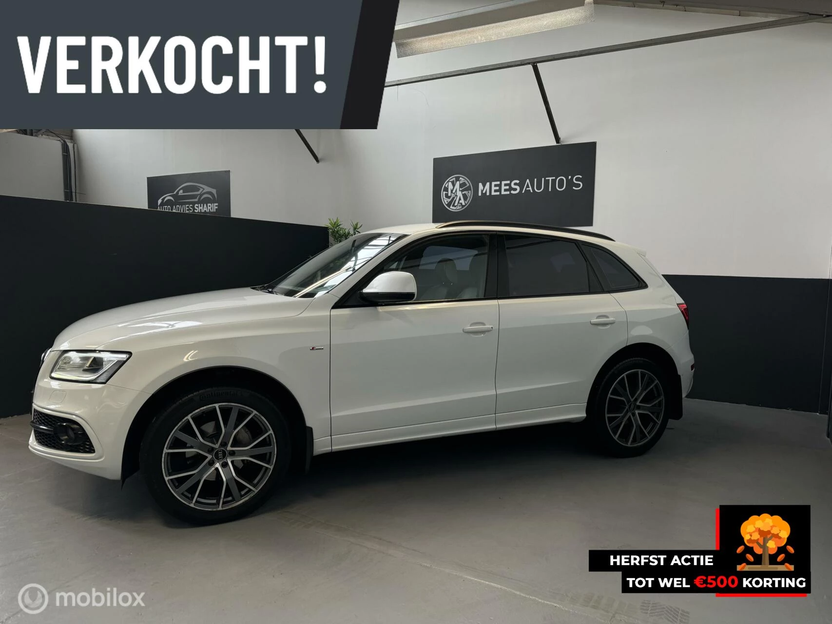 Hoofdafbeelding Audi Q5