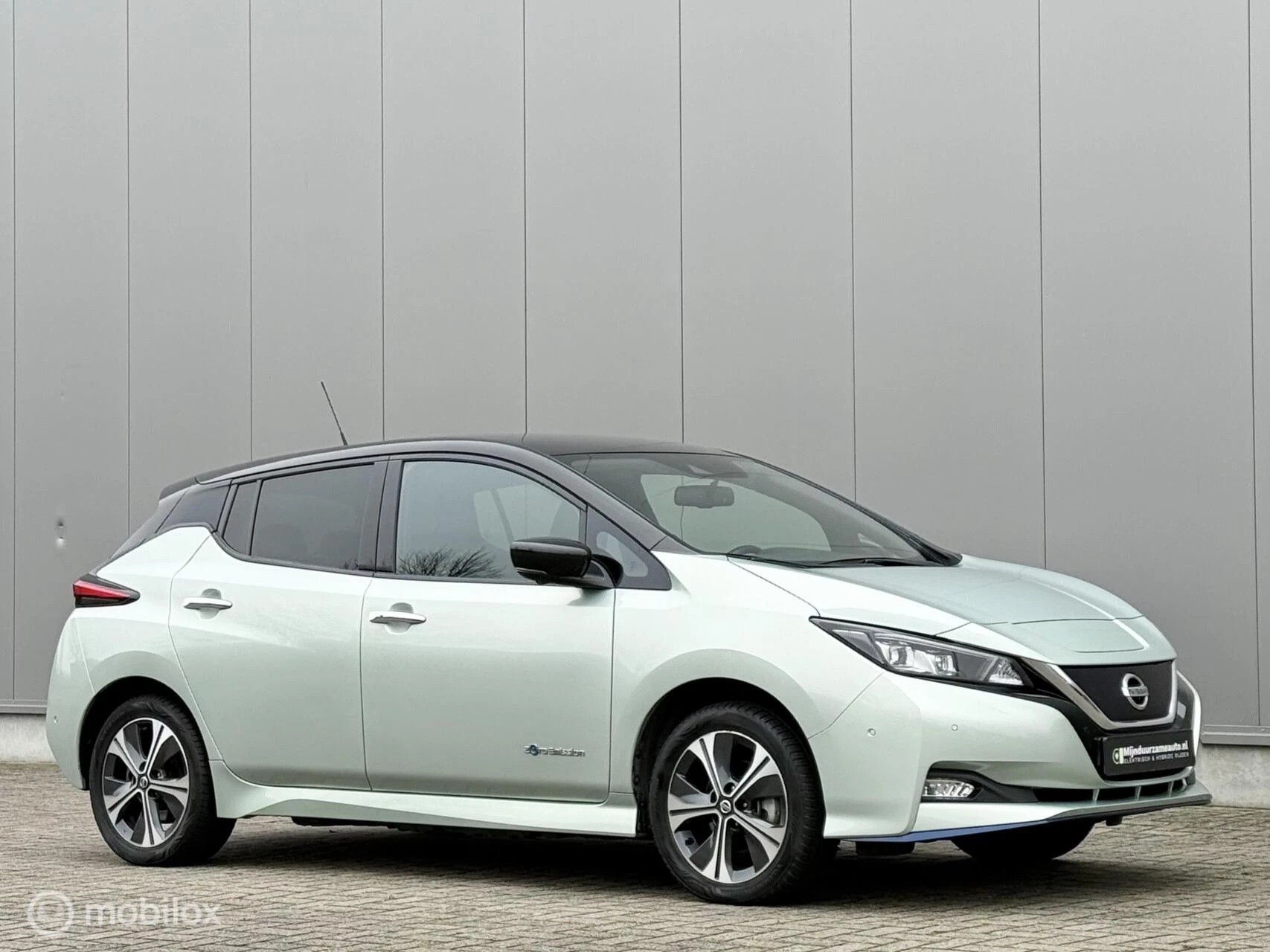 Hoofdafbeelding Nissan Leaf