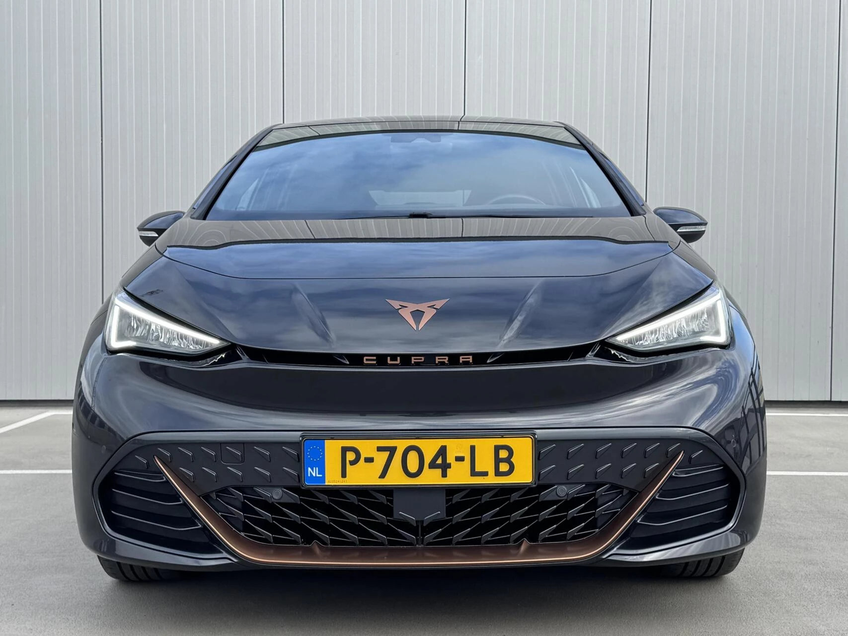 Hoofdafbeelding CUPRA Born