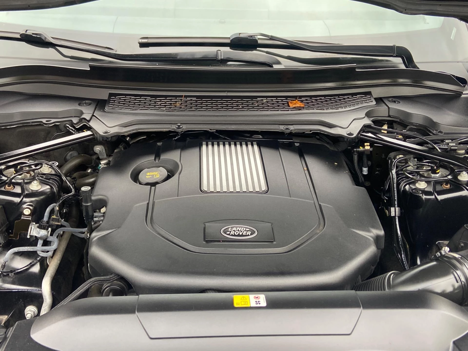 Hoofdafbeelding Land Rover Range Rover