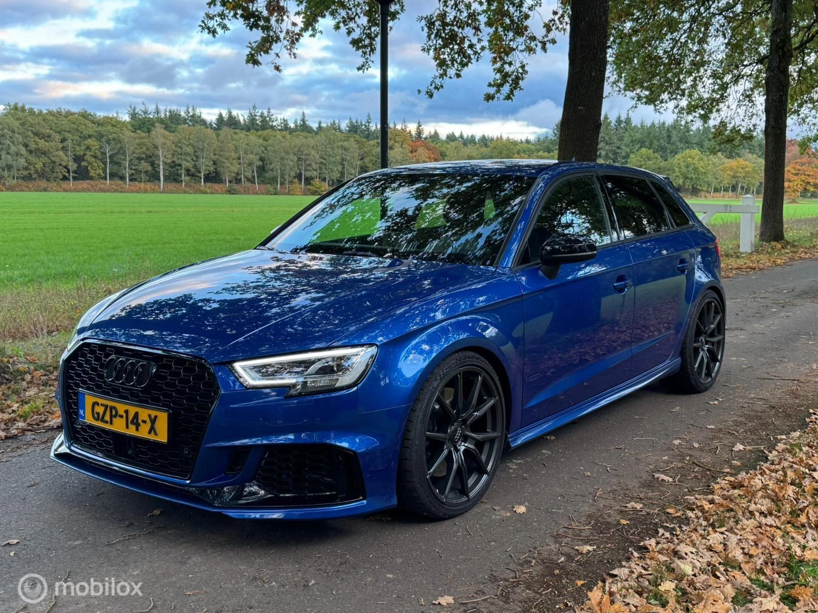 Hoofdafbeelding Audi S3