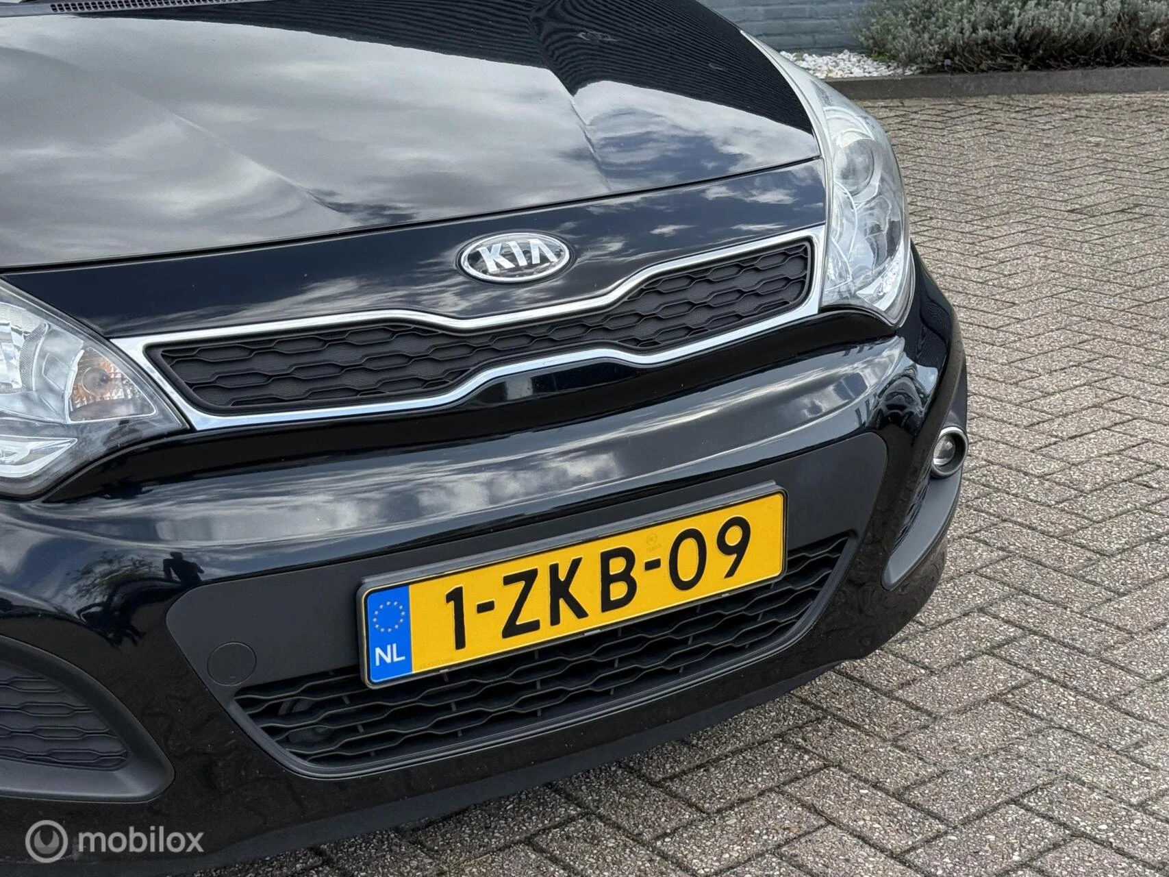 Hoofdafbeelding Kia Rio