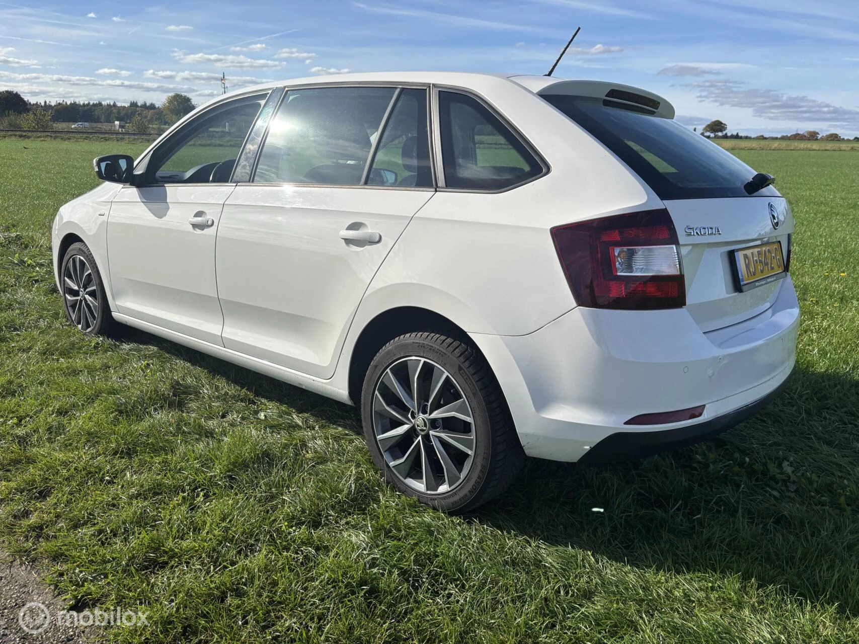 Hoofdafbeelding Škoda Rapid