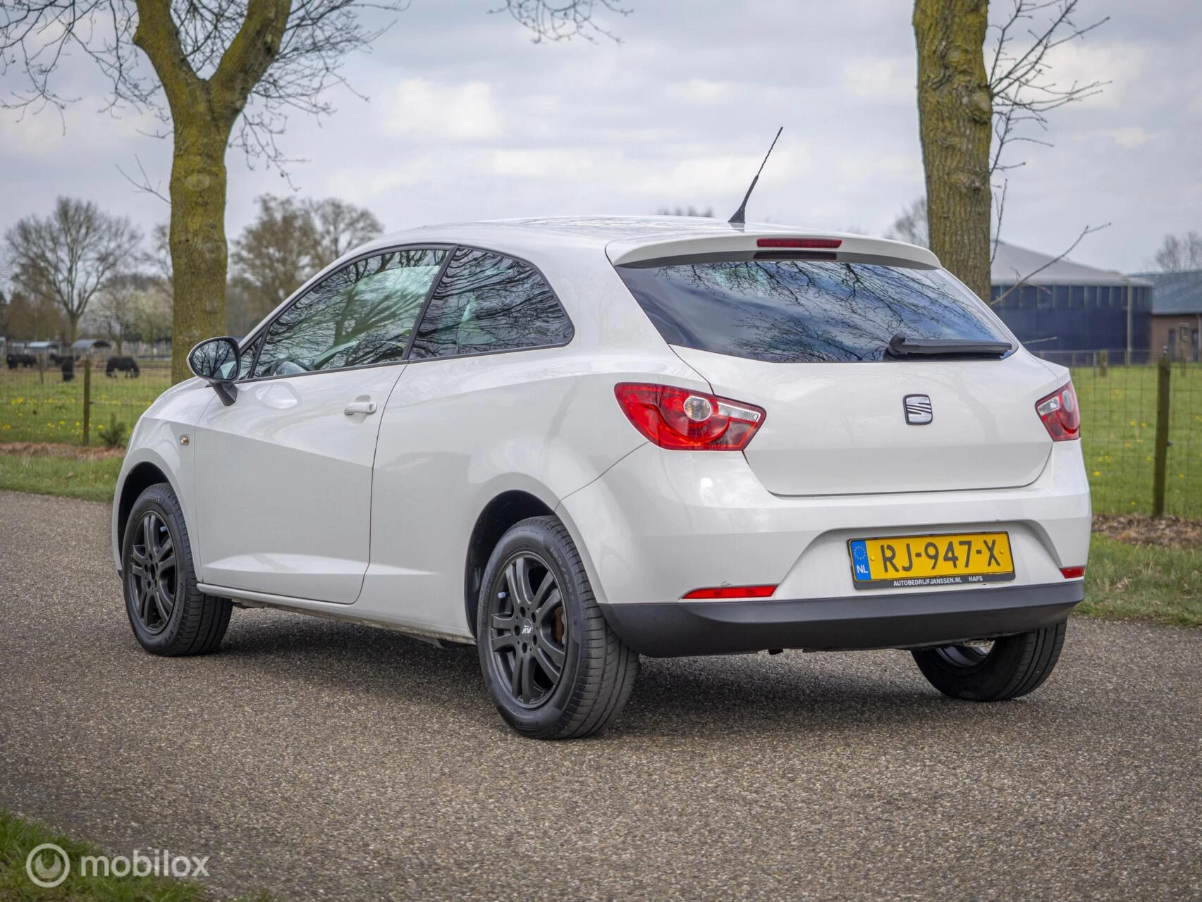 Hoofdafbeelding SEAT Ibiza