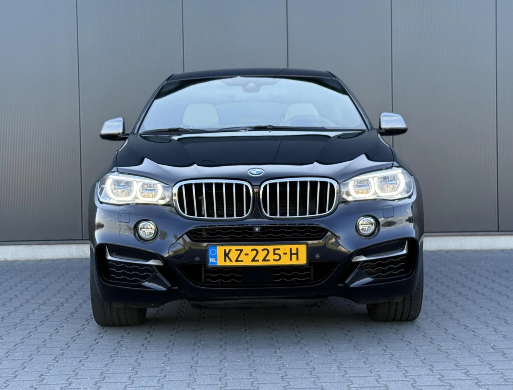Hoofdafbeelding BMW X6