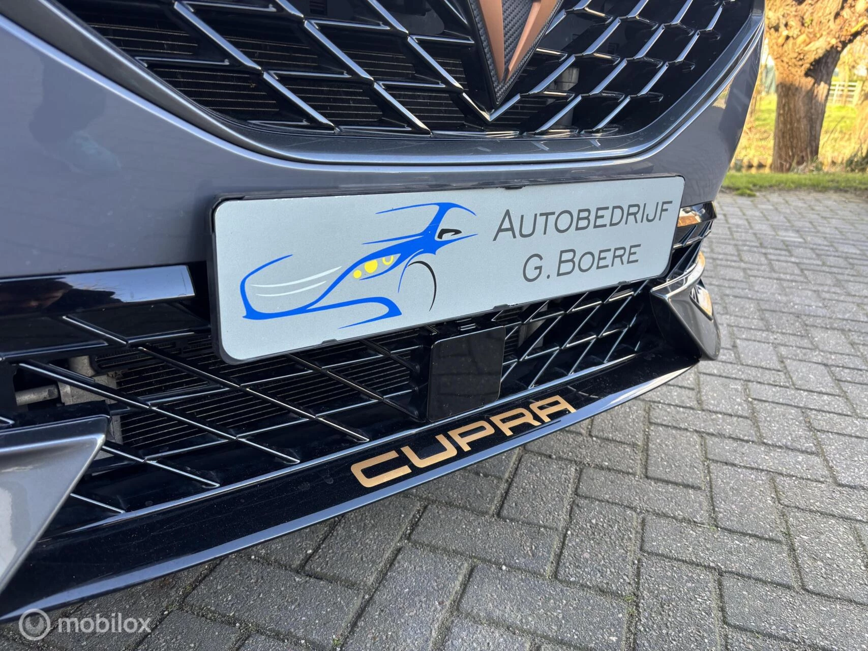 Hoofdafbeelding CUPRA Formentor
