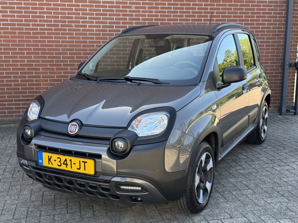 Hoofdafbeelding Fiat Panda