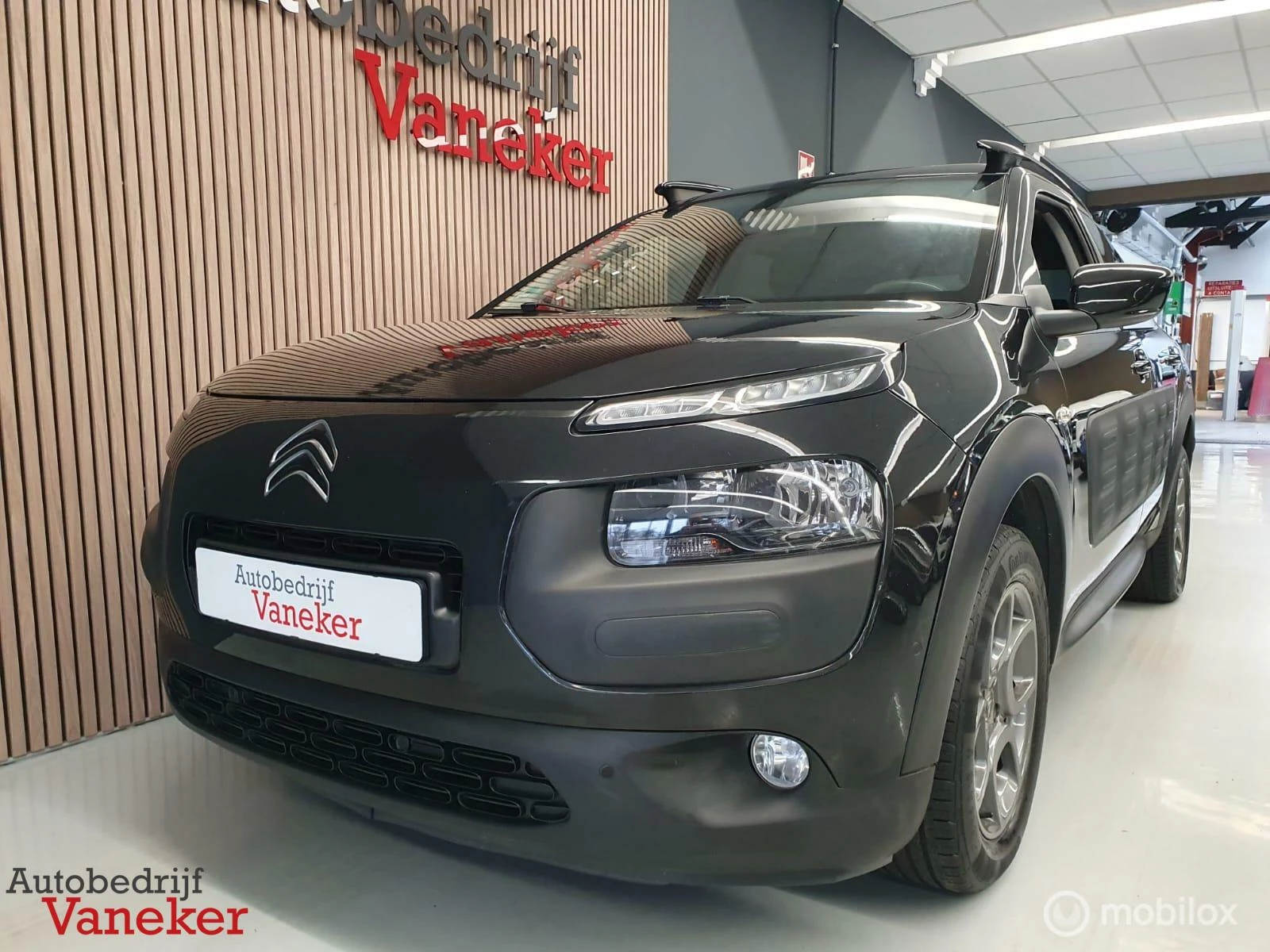 Hoofdafbeelding Citroën C4 Cactus