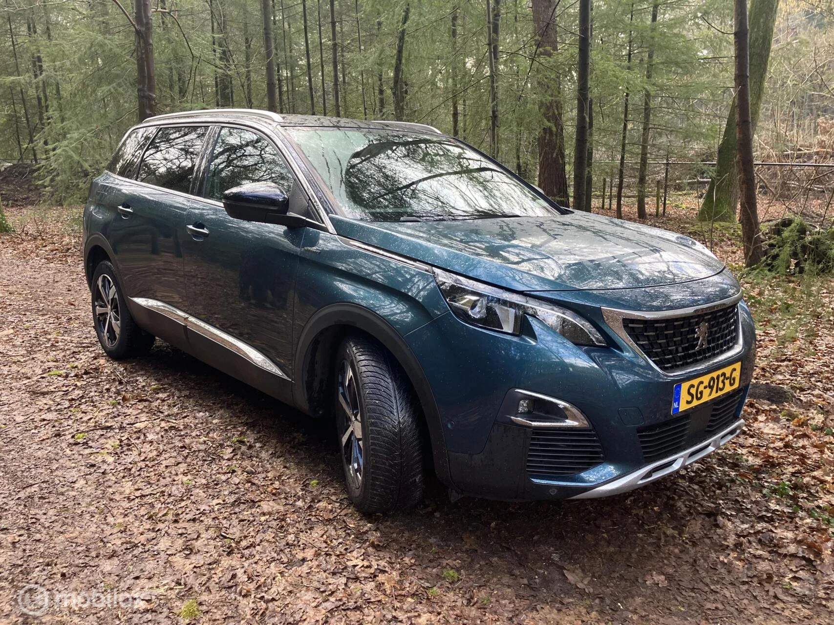 Hoofdafbeelding Peugeot 5008