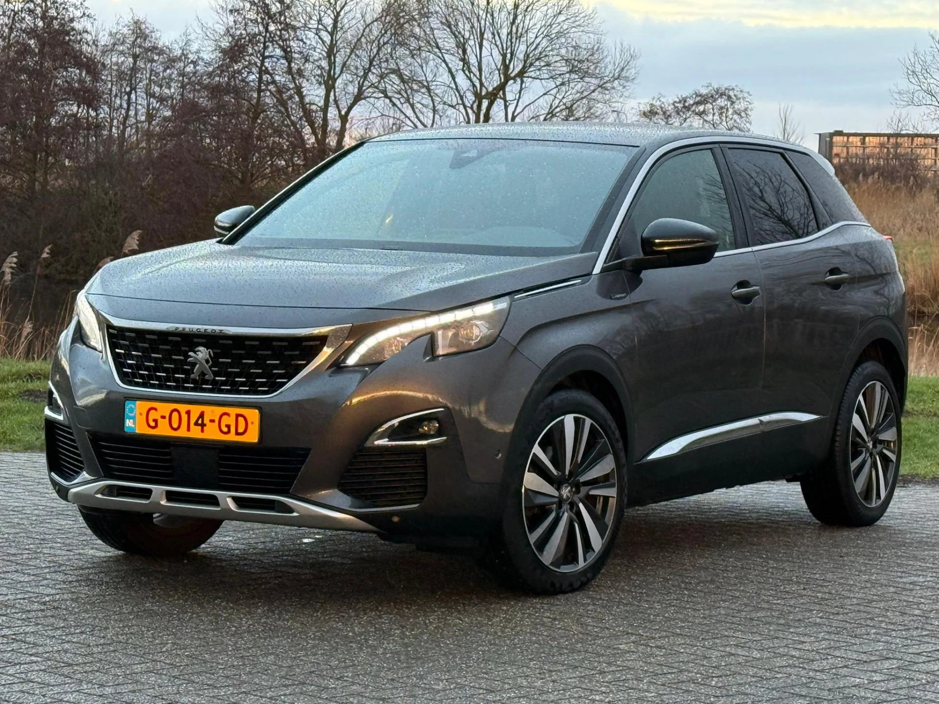 Hoofdafbeelding Peugeot 3008