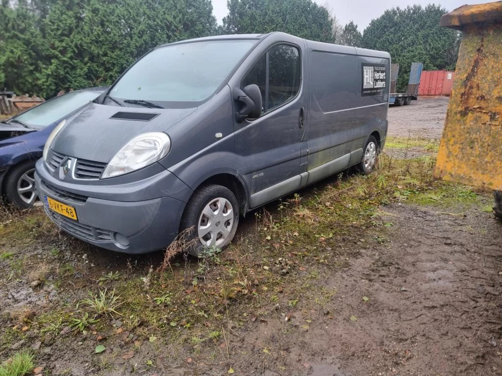 Hoofdafbeelding Renault Trafic