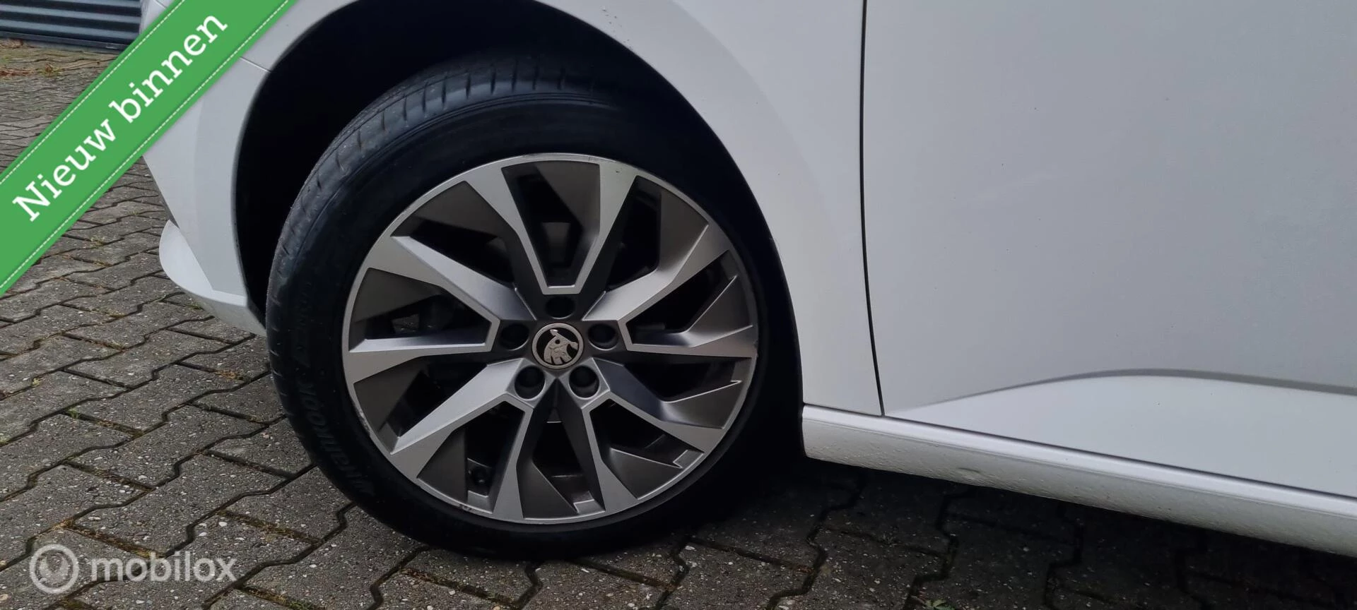 Hoofdafbeelding Škoda Fabia