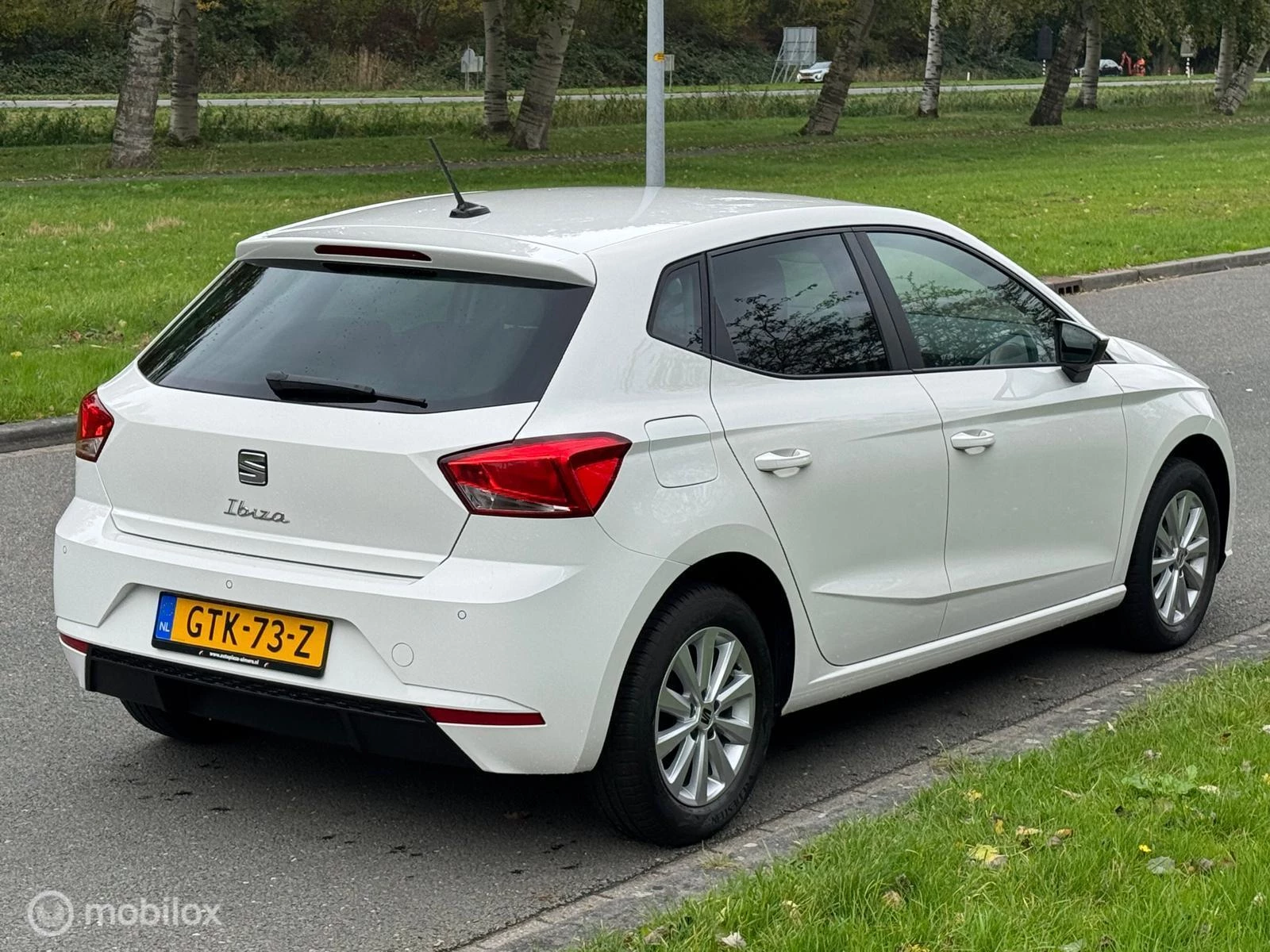 Hoofdafbeelding SEAT Ibiza