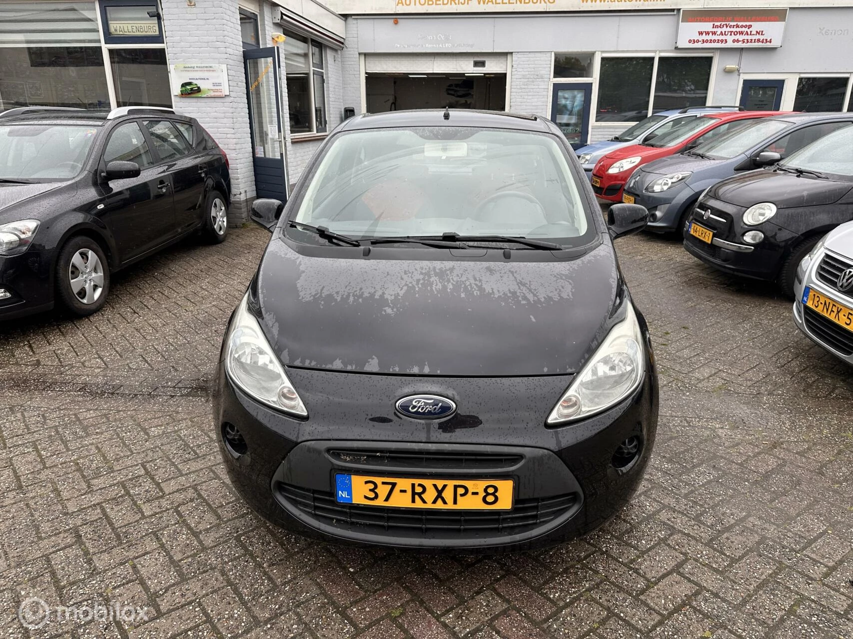 Hoofdafbeelding Ford Ka
