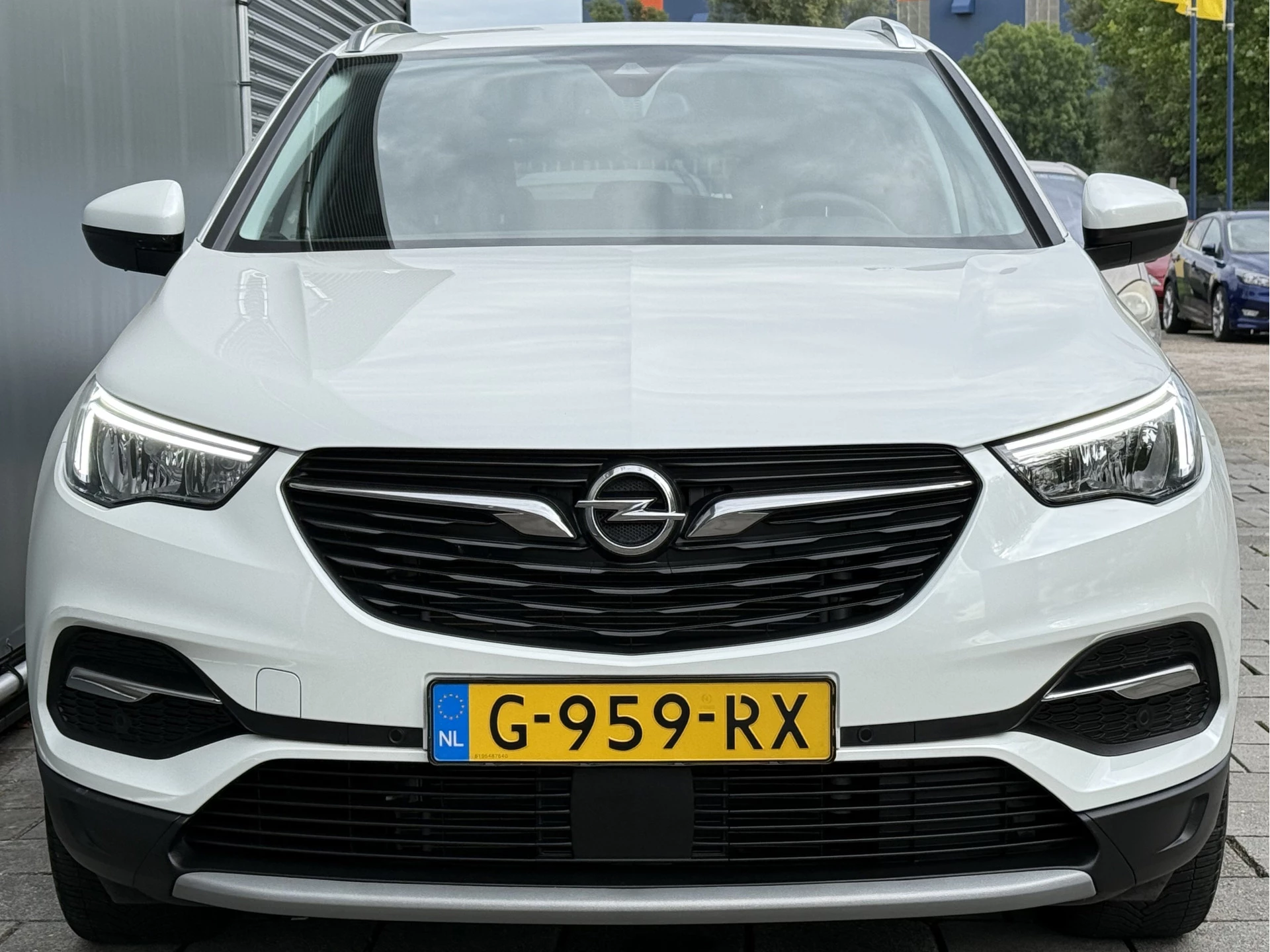 Hoofdafbeelding Opel Grandland X