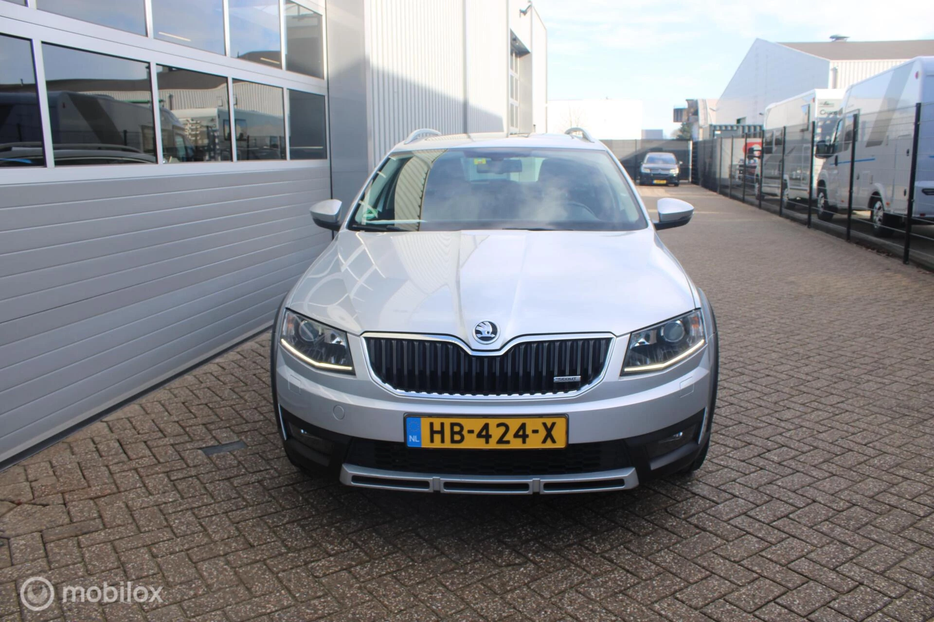 Hoofdafbeelding Škoda Octavia