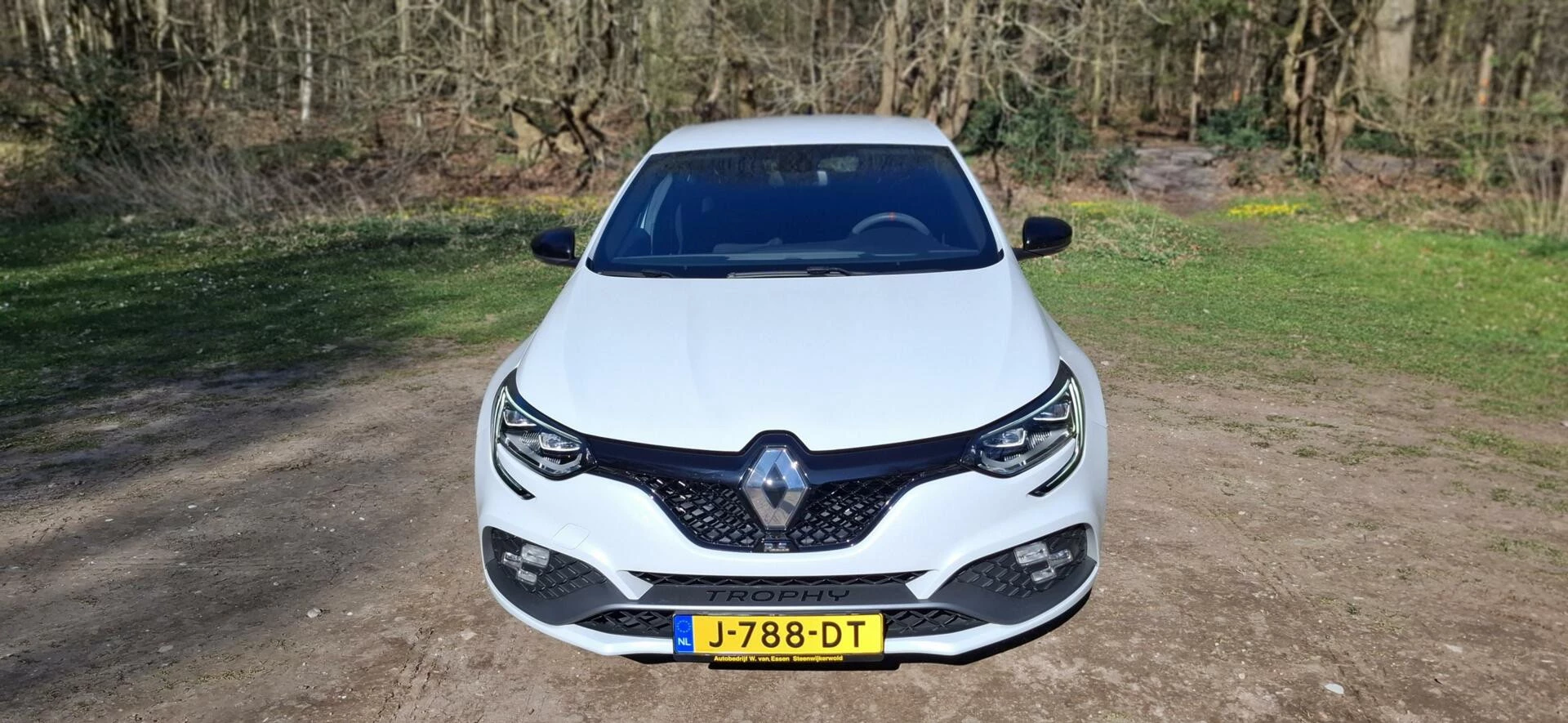 Hoofdafbeelding Renault Mégane