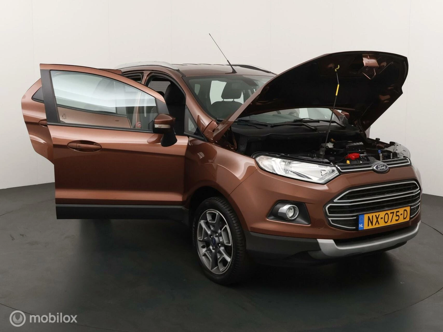 Hoofdafbeelding Ford EcoSport