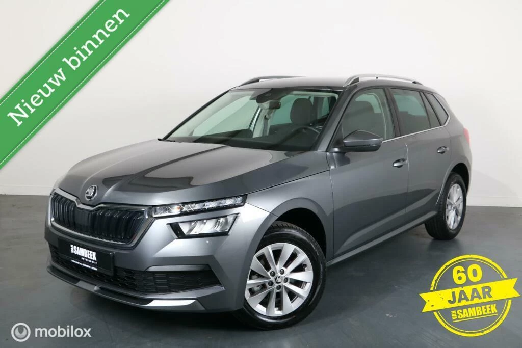 Hoofdafbeelding Škoda Kamiq