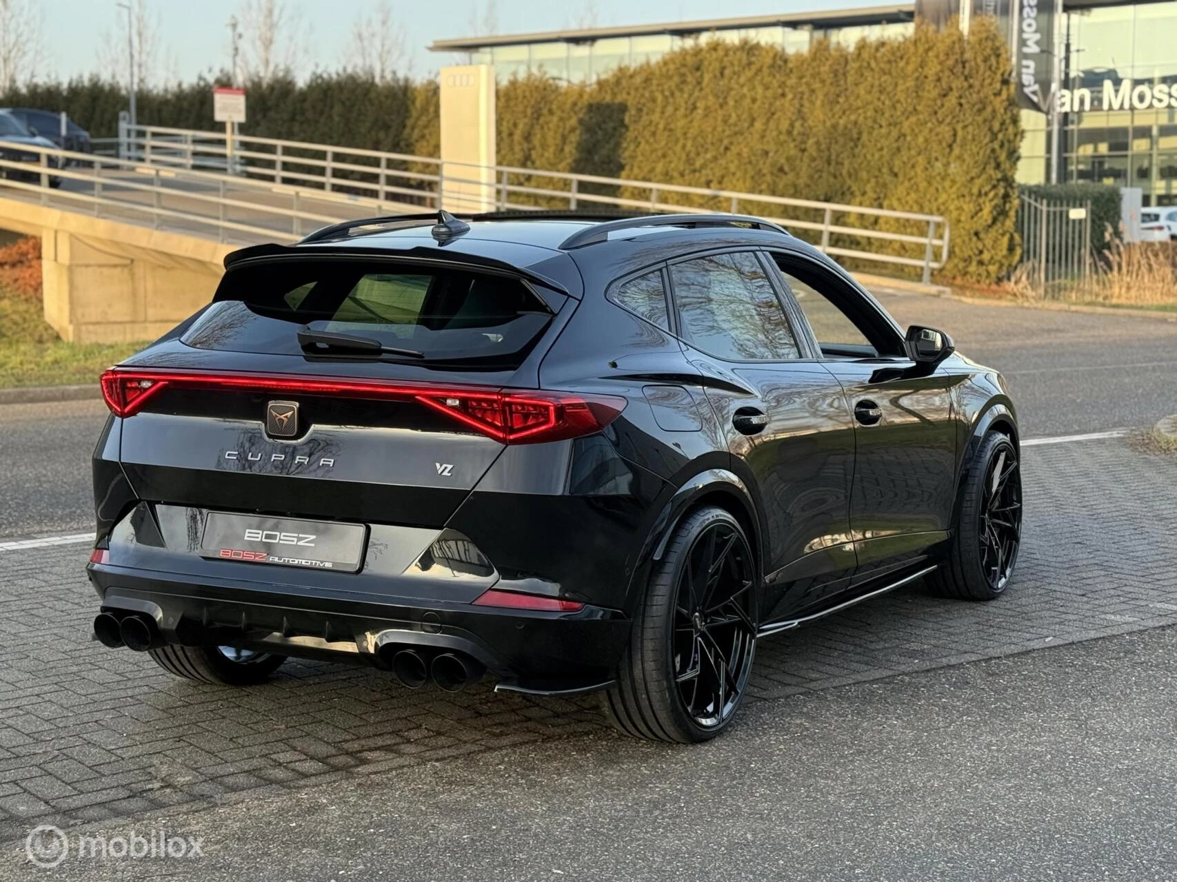 Hoofdafbeelding CUPRA Formentor