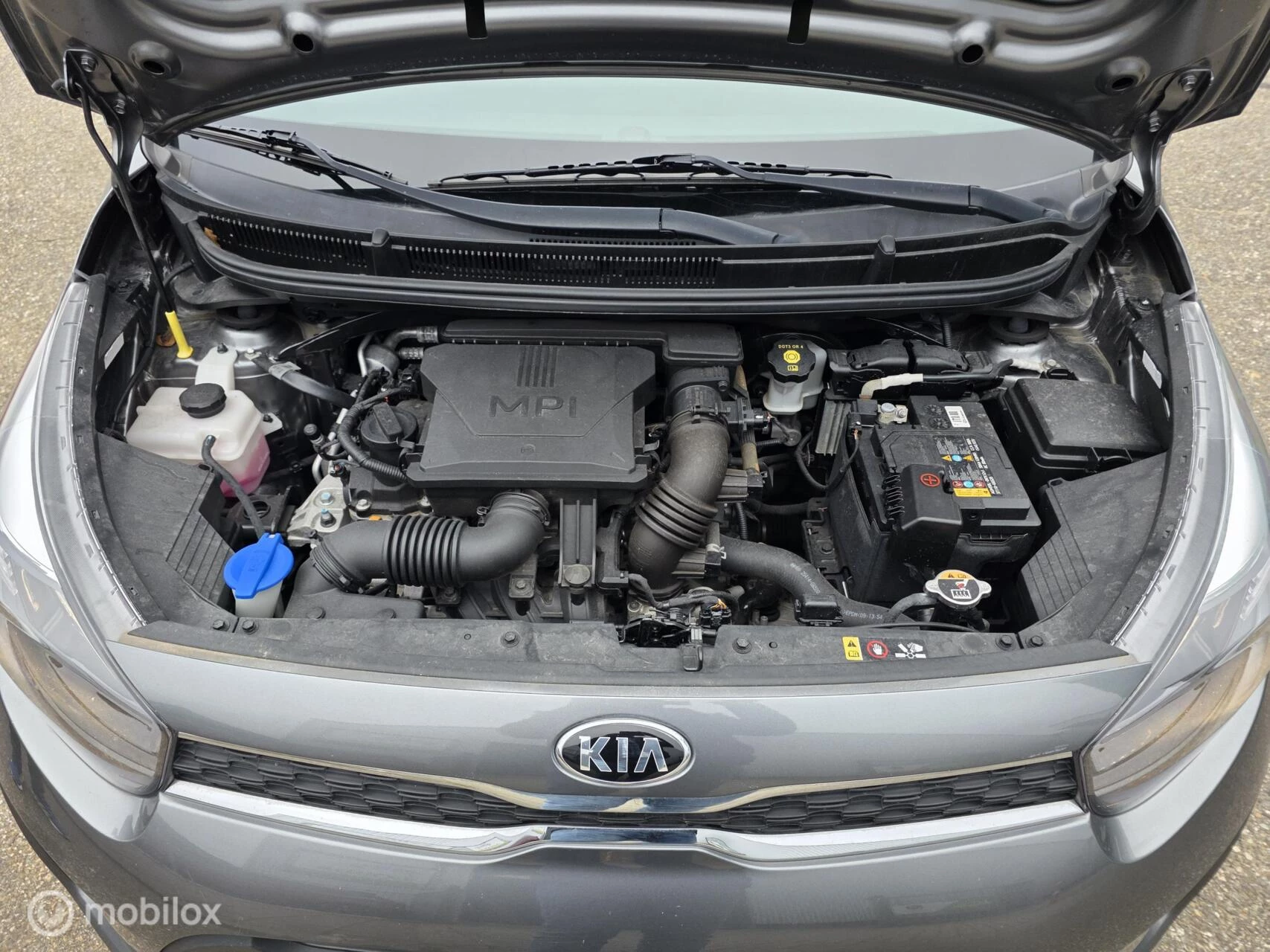 Hoofdafbeelding Kia Picanto
