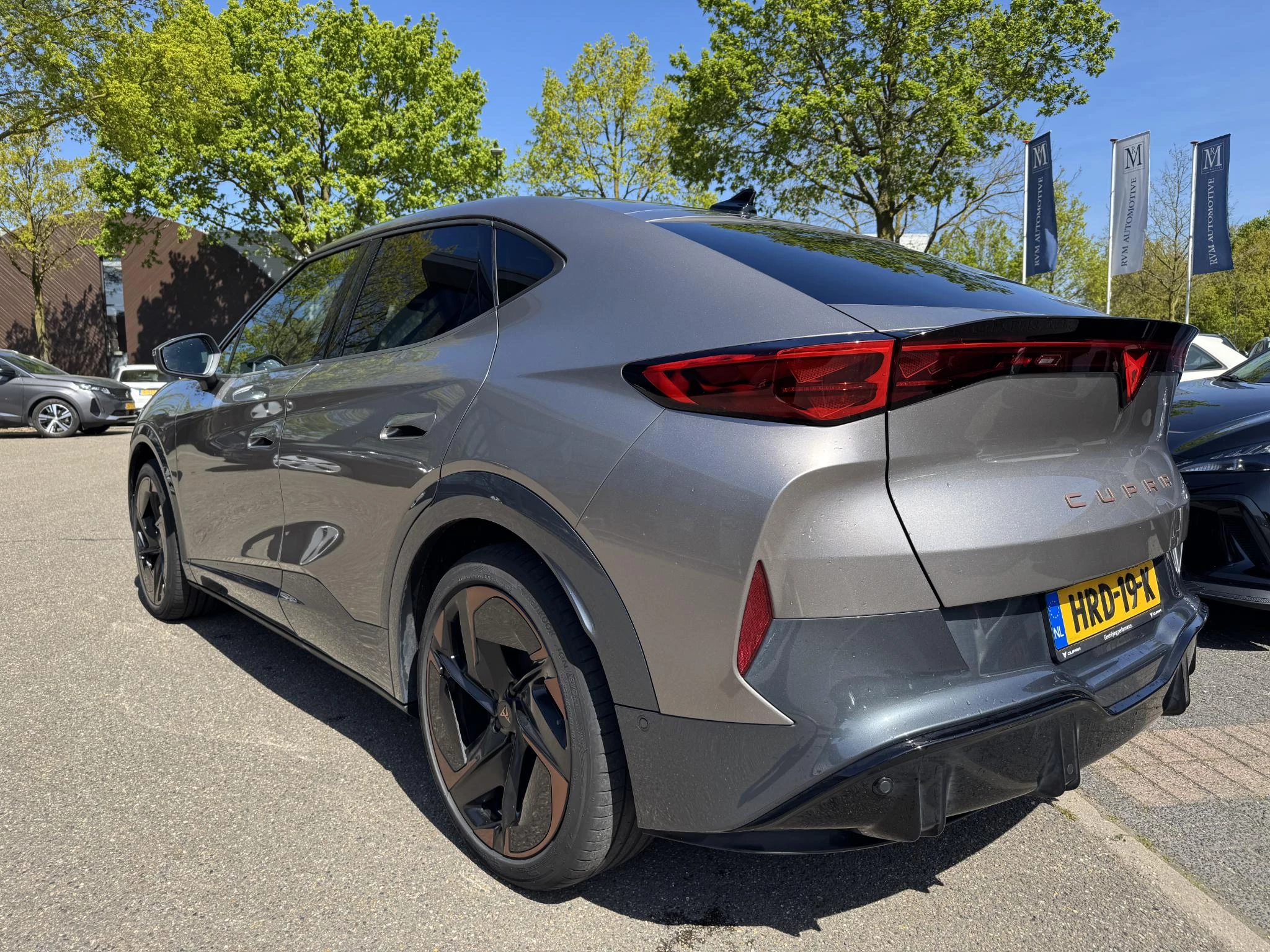 Hoofdafbeelding CUPRA Tavascan