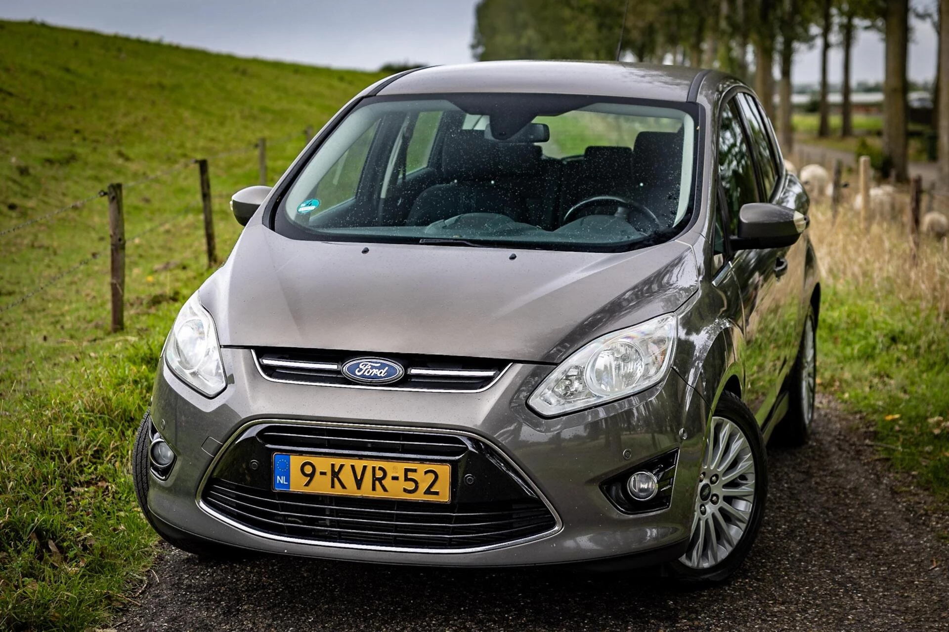 Hoofdafbeelding Ford C-MAX