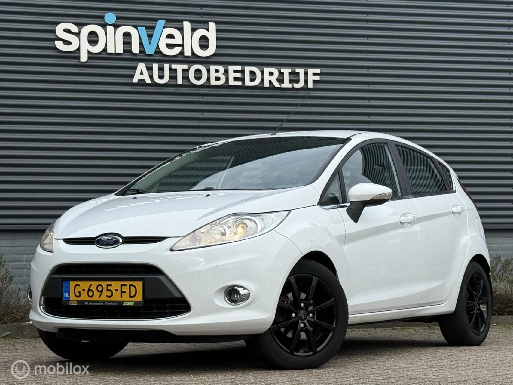 Hoofdafbeelding Ford Fiesta