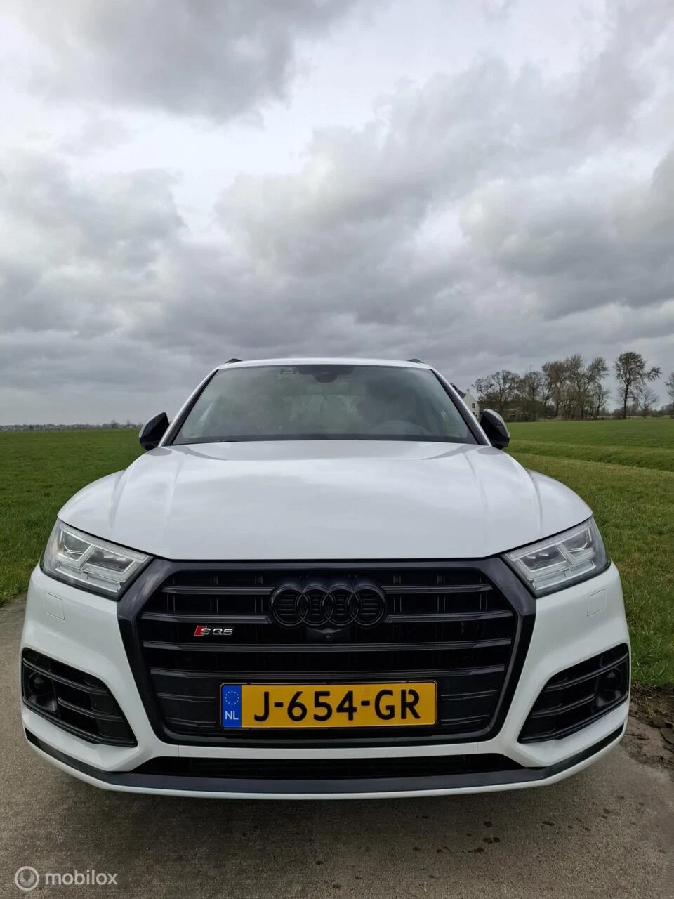 Hoofdafbeelding Audi SQ5