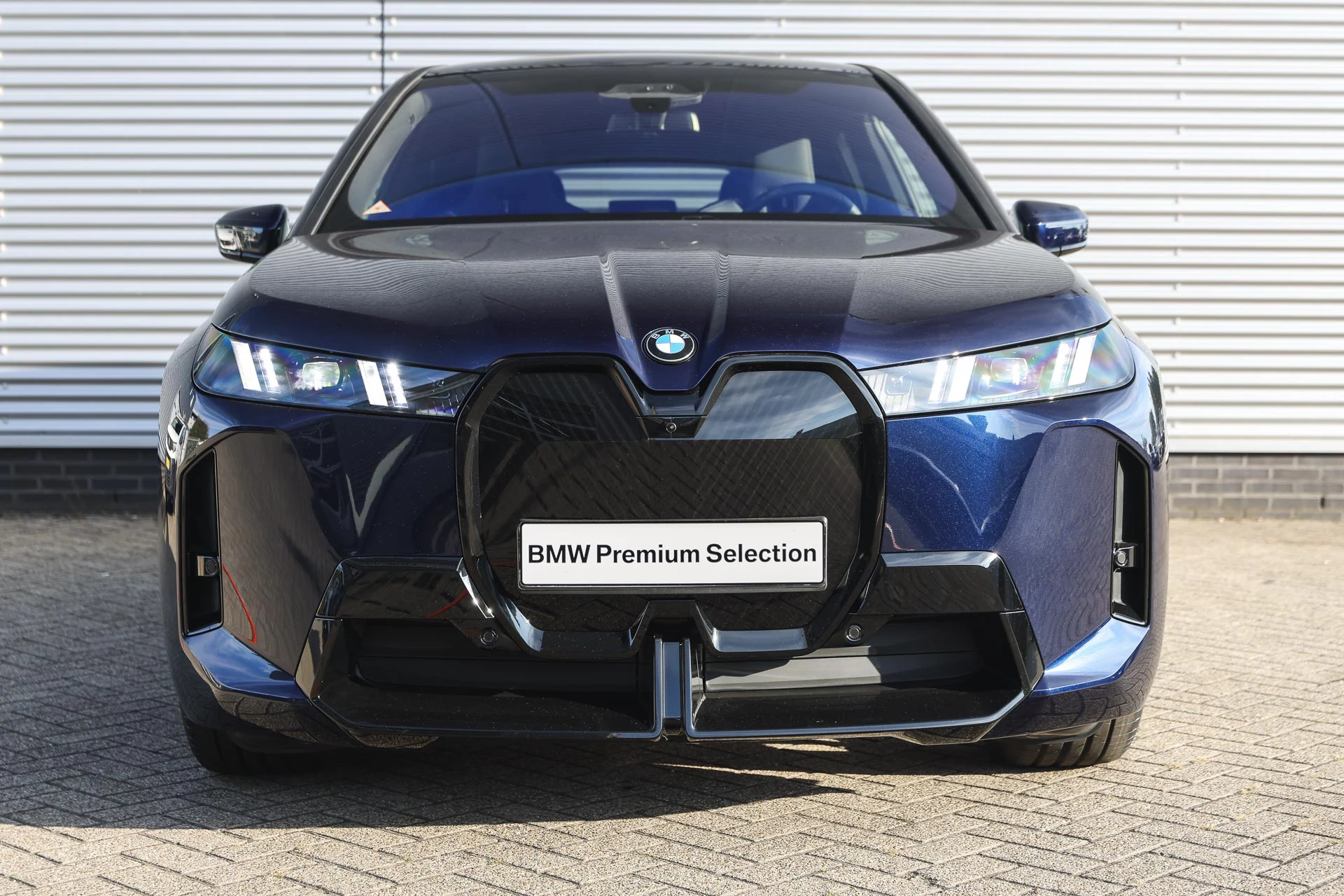 Hoofdafbeelding BMW iX